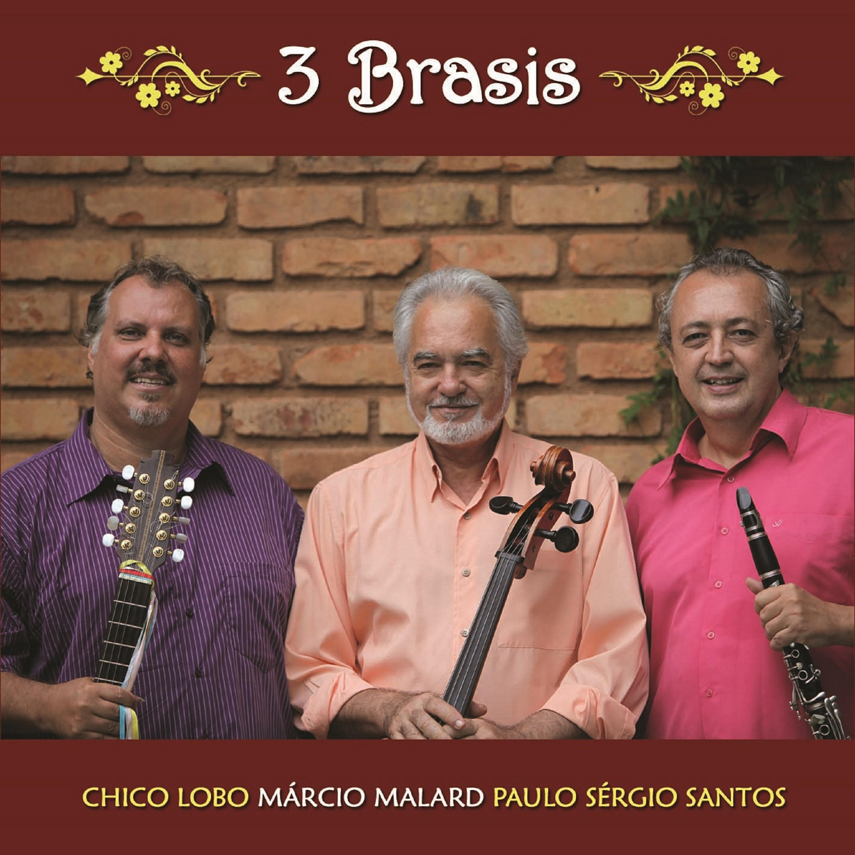 Релиз 3 Brasis