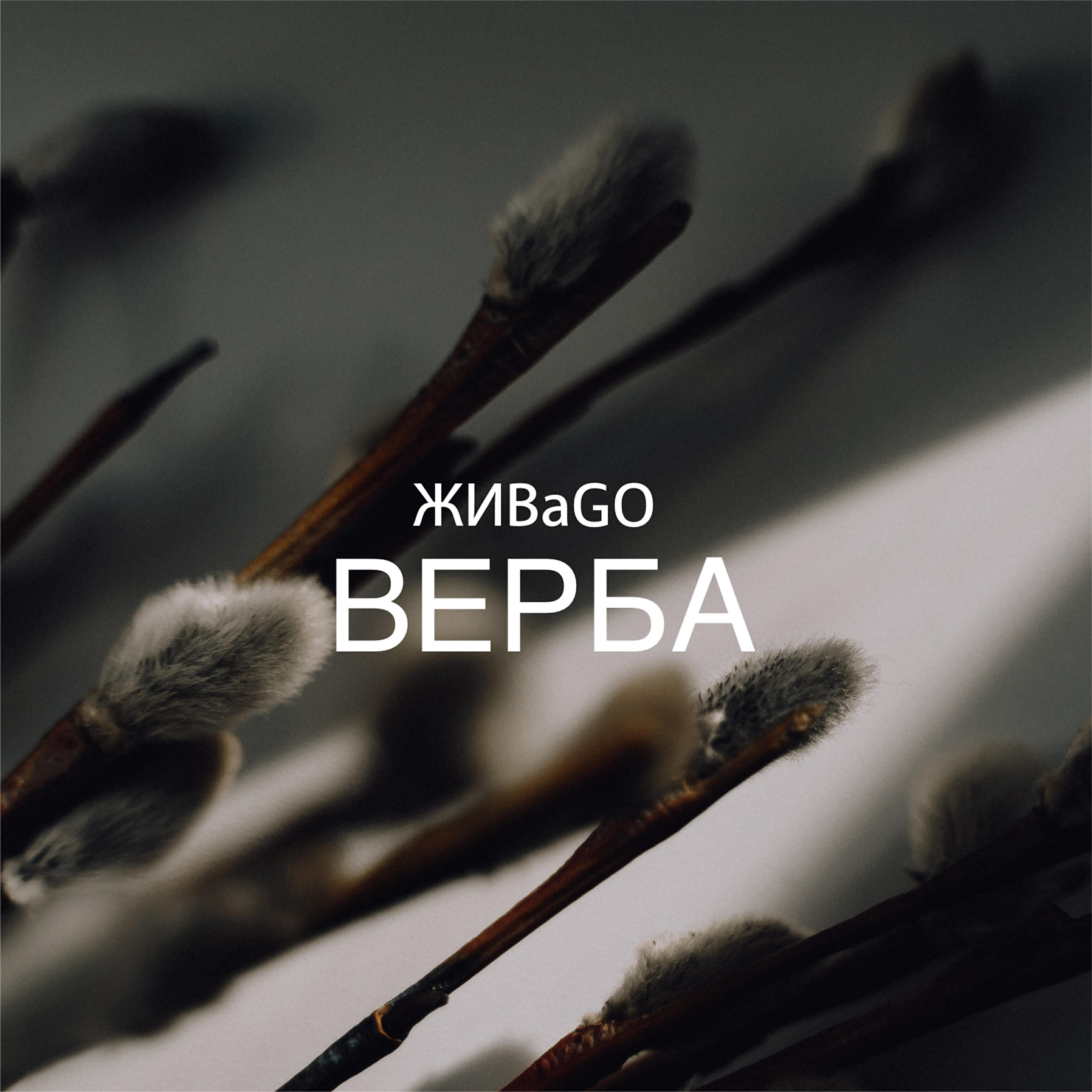 Релиз Верба