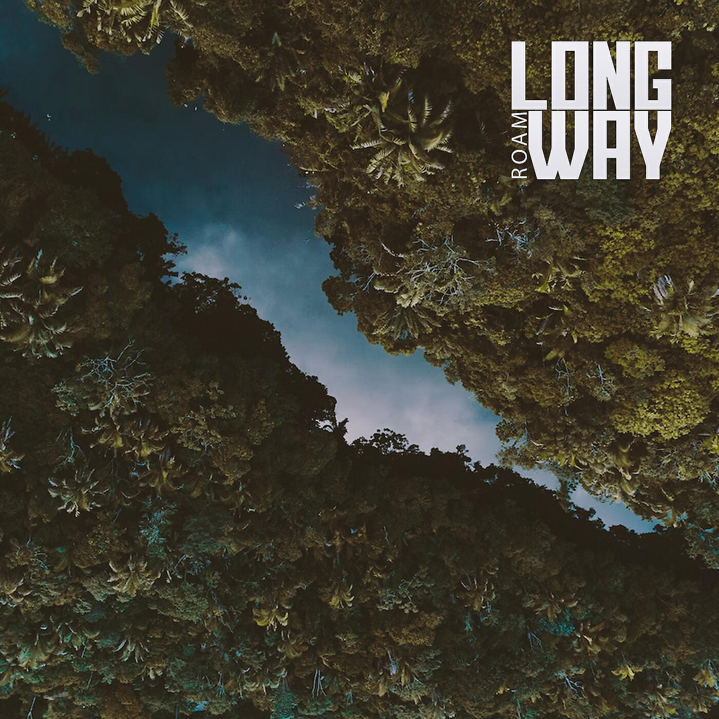 Релиз Long Way