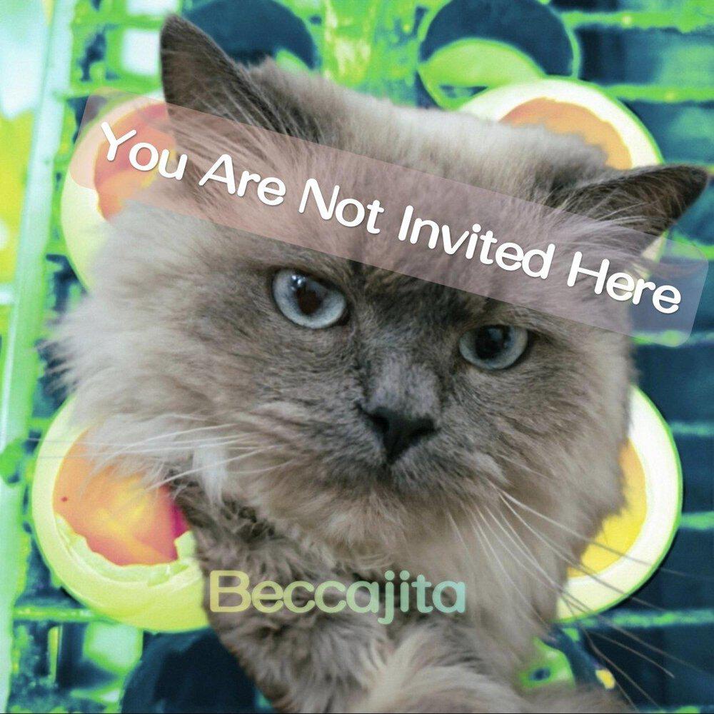 Релиз You Are Not Invited Here