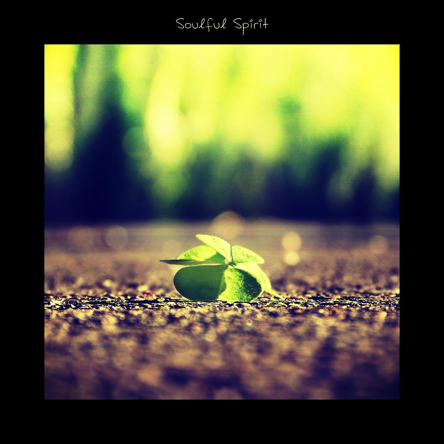 Релиз Soulful Spirit