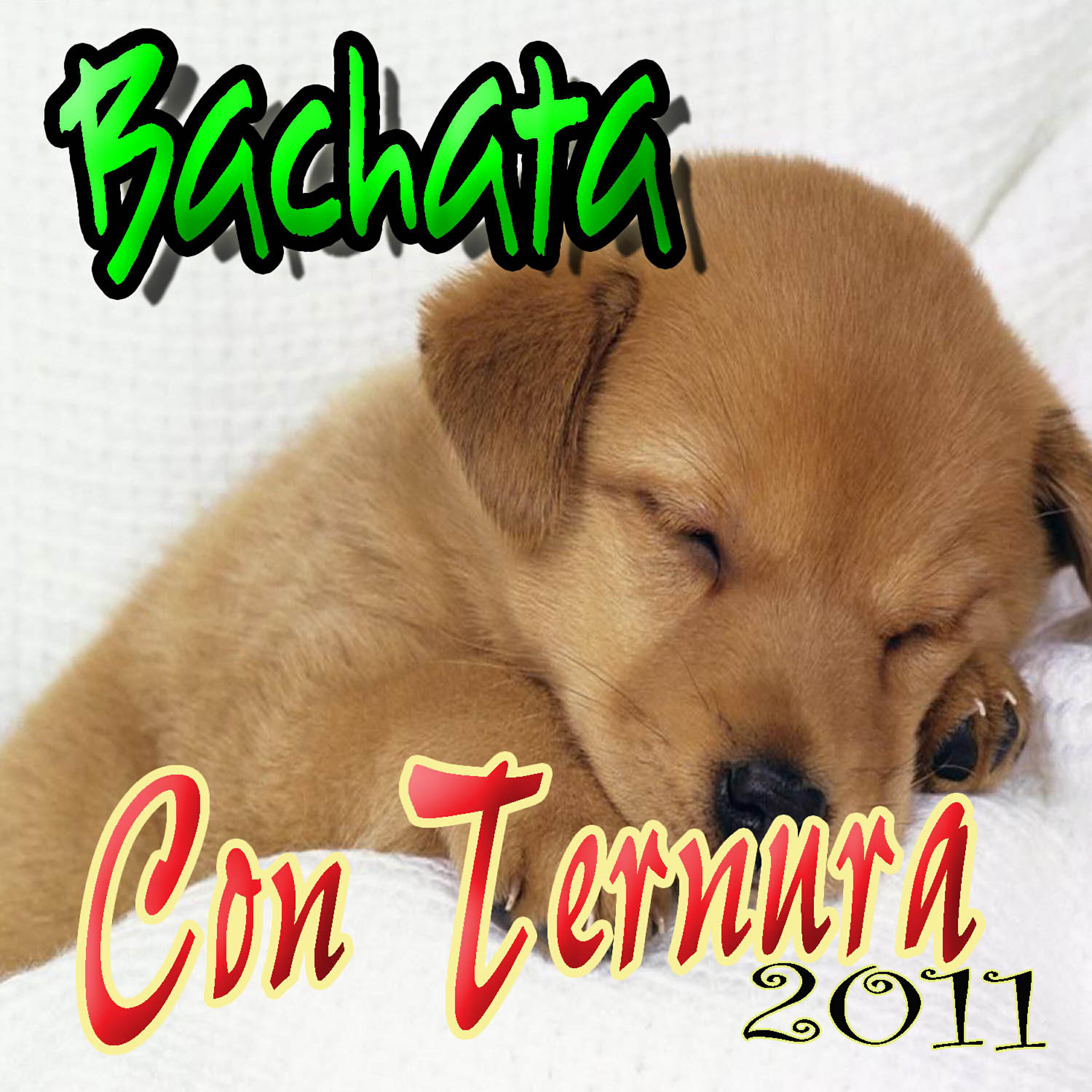 BACHATA Con TERNURA