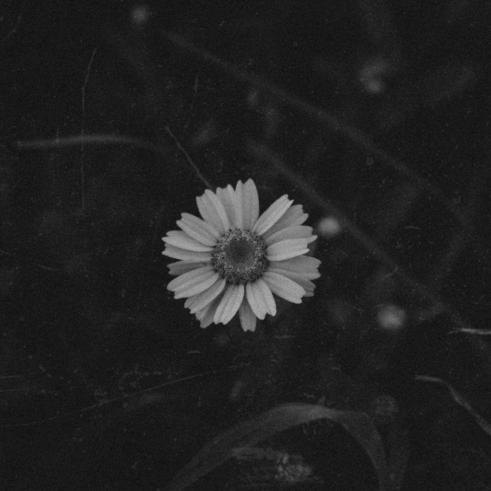 Релиз memories from the past