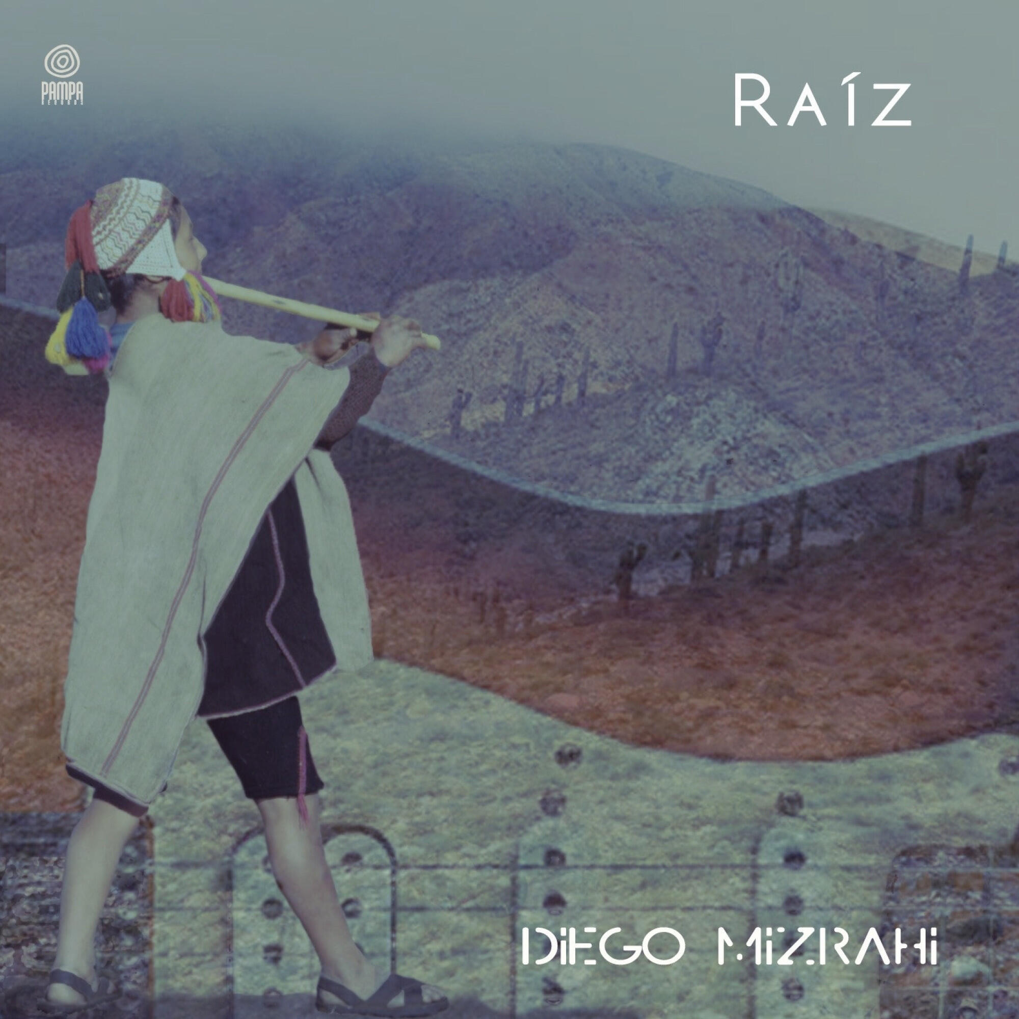 Релиз Raiz
