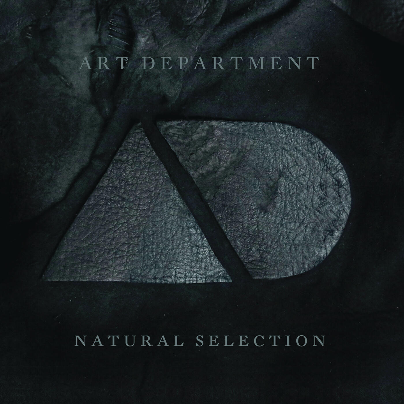Релиз Natural Selection