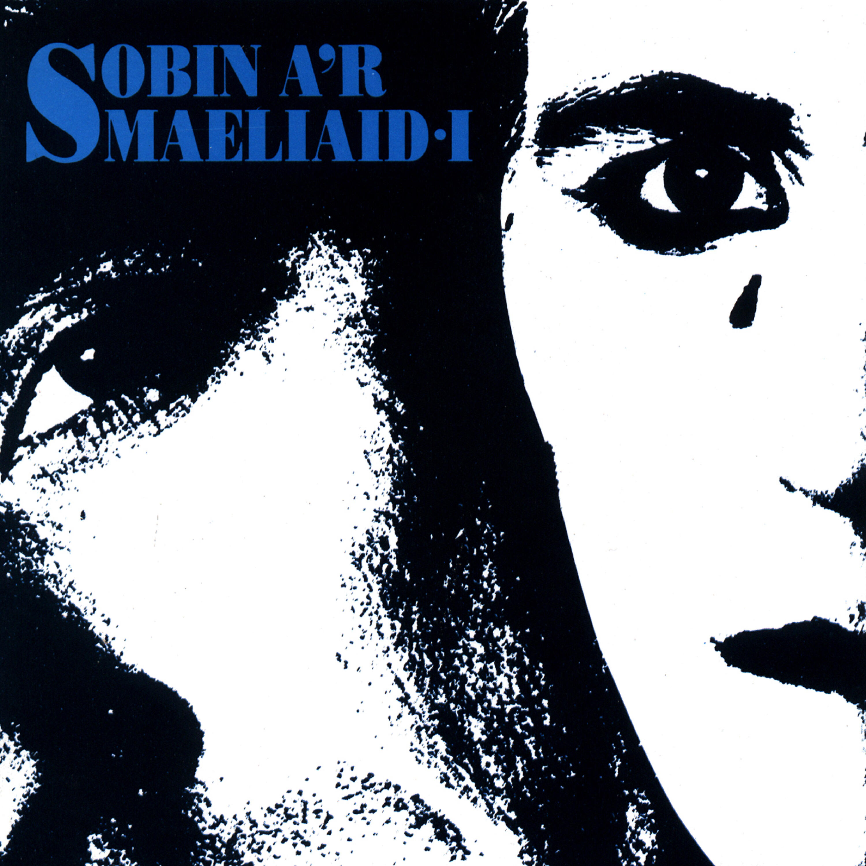 Релиз Sobin a'r Smaeliaid