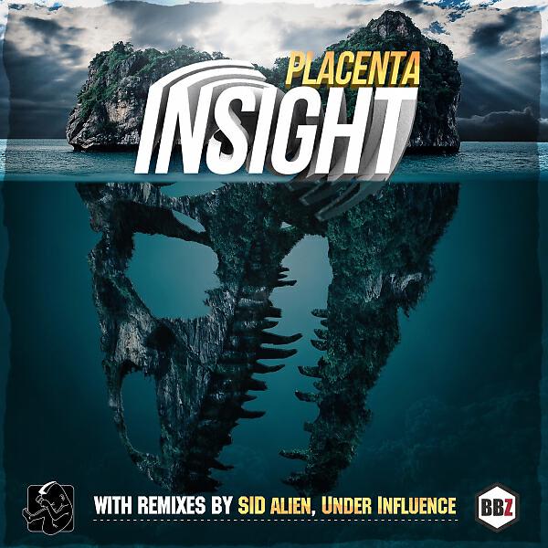 Постер альбома Insight (Single)