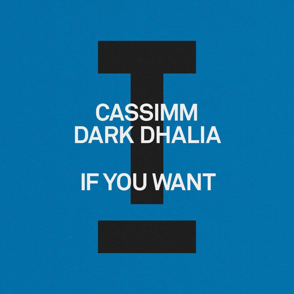 Dark Dhalia