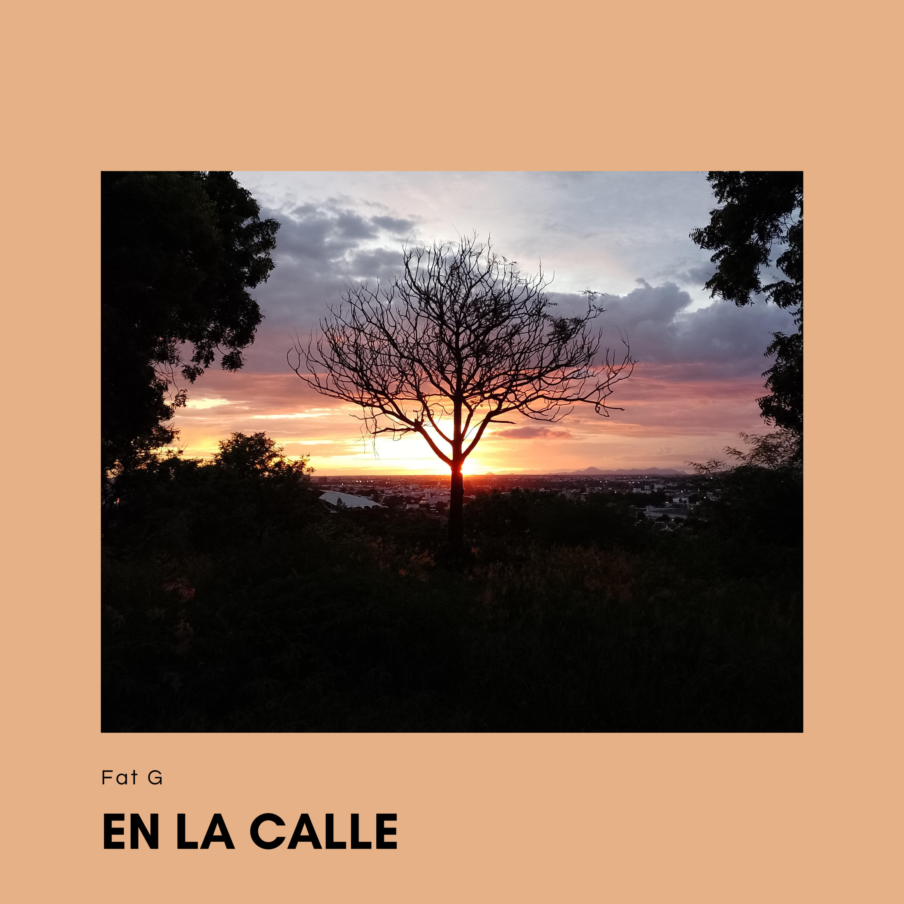 Релиз En la Calle