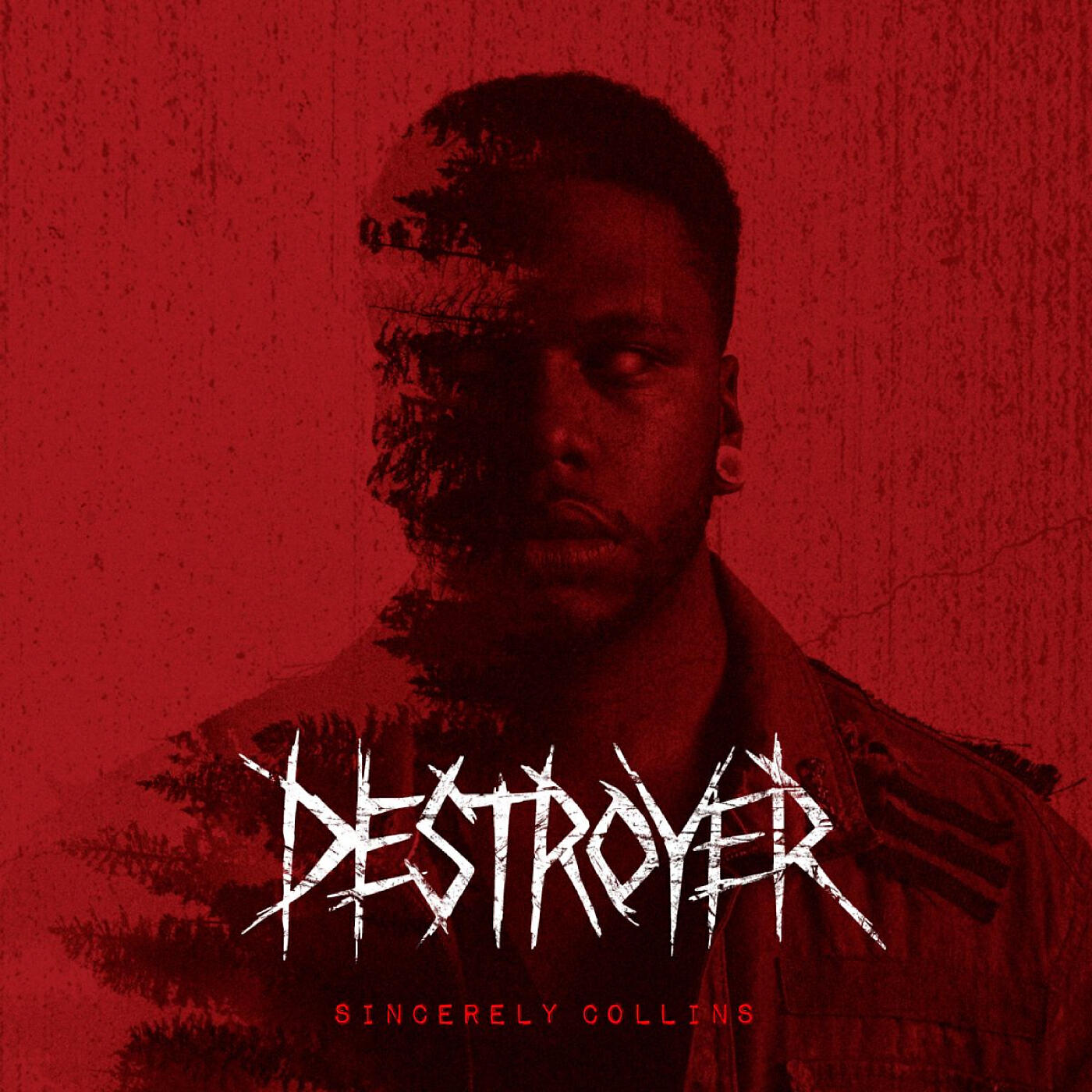 Постер альбома Destroyer