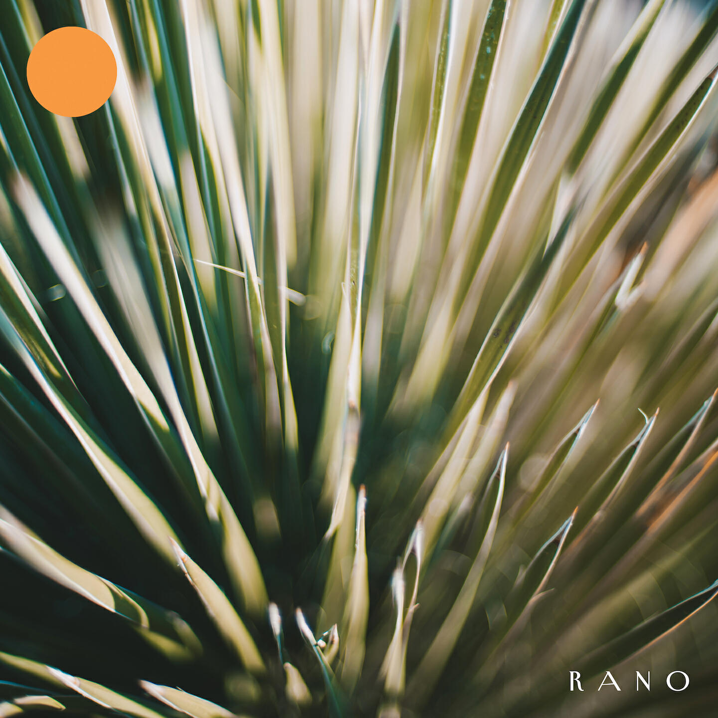 Релиз Rano