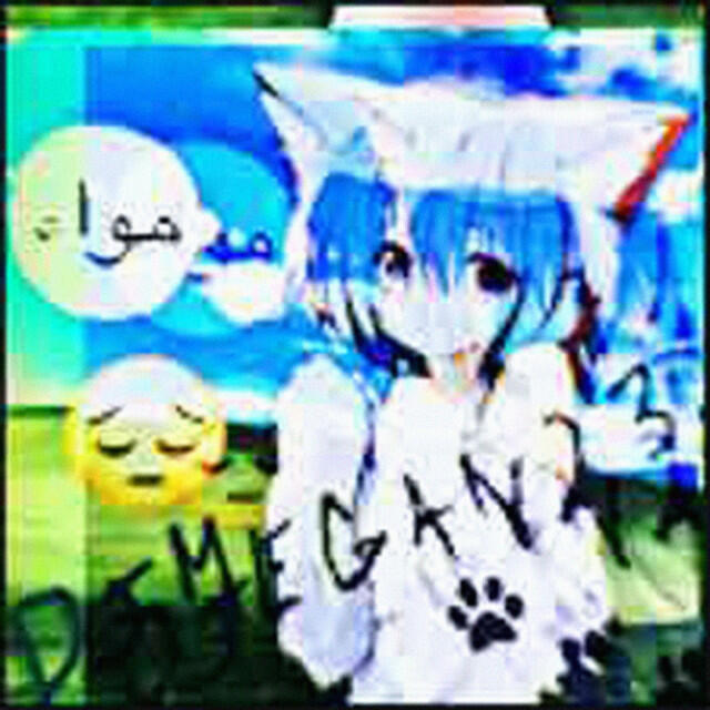 Релиз Meow Meow Meow Meow