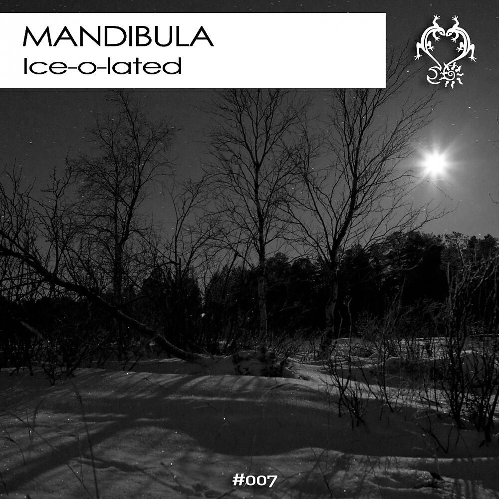 Постер альбома Ice-o-lated