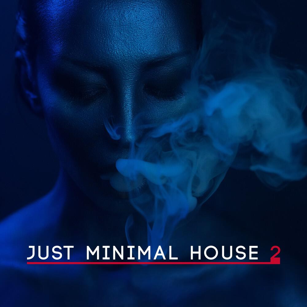 Релиз Just Minimal House, Vol. 2