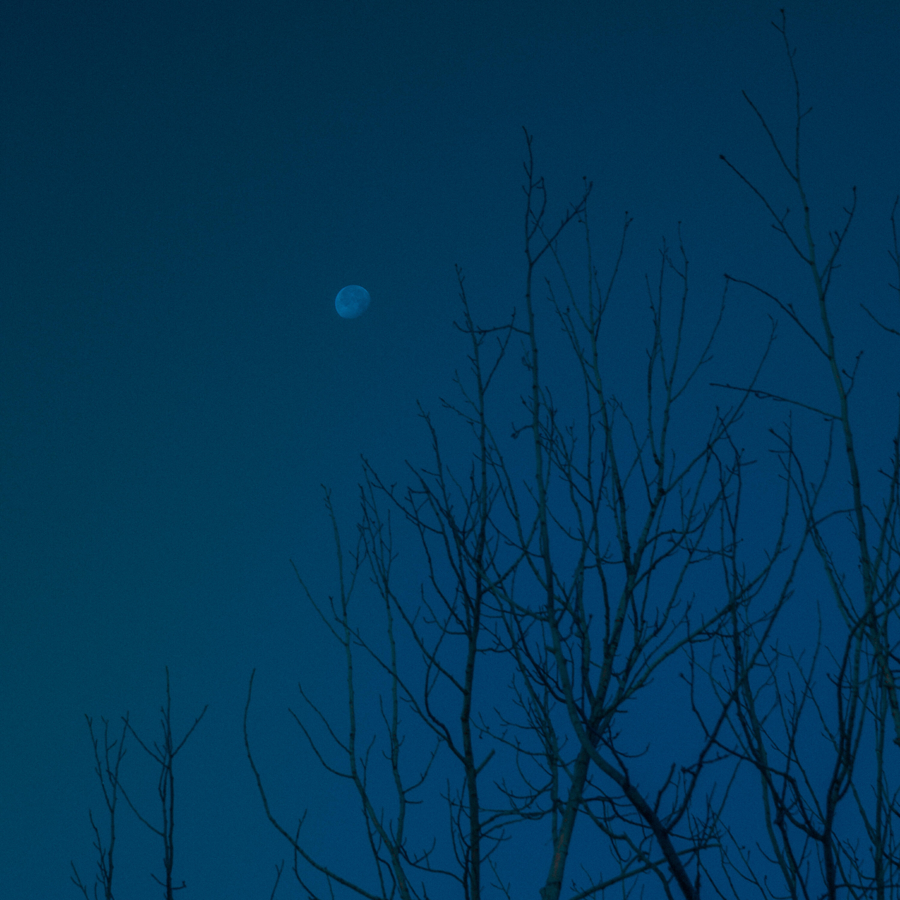 Релиз lunar