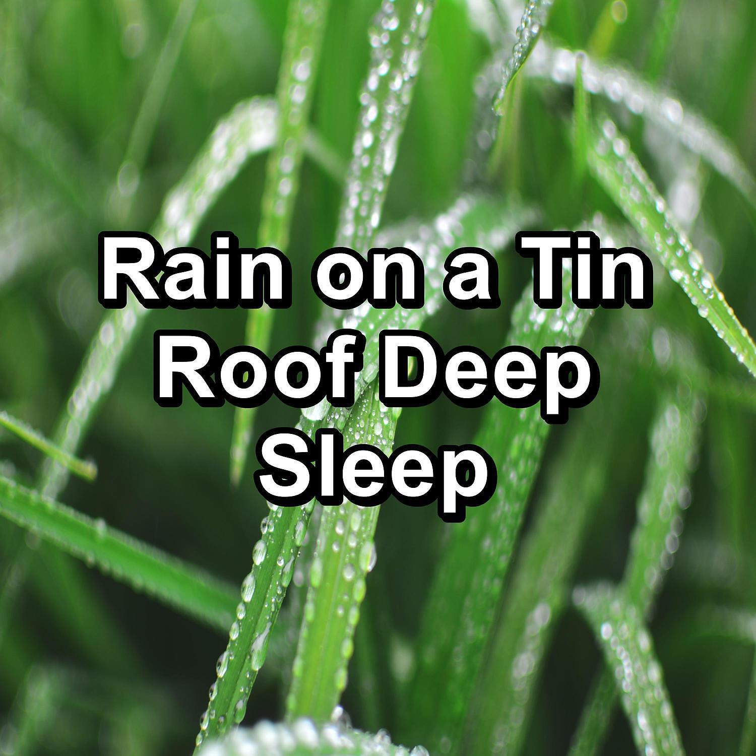 Релиз Rain on a Tin Roof Deep Sleep