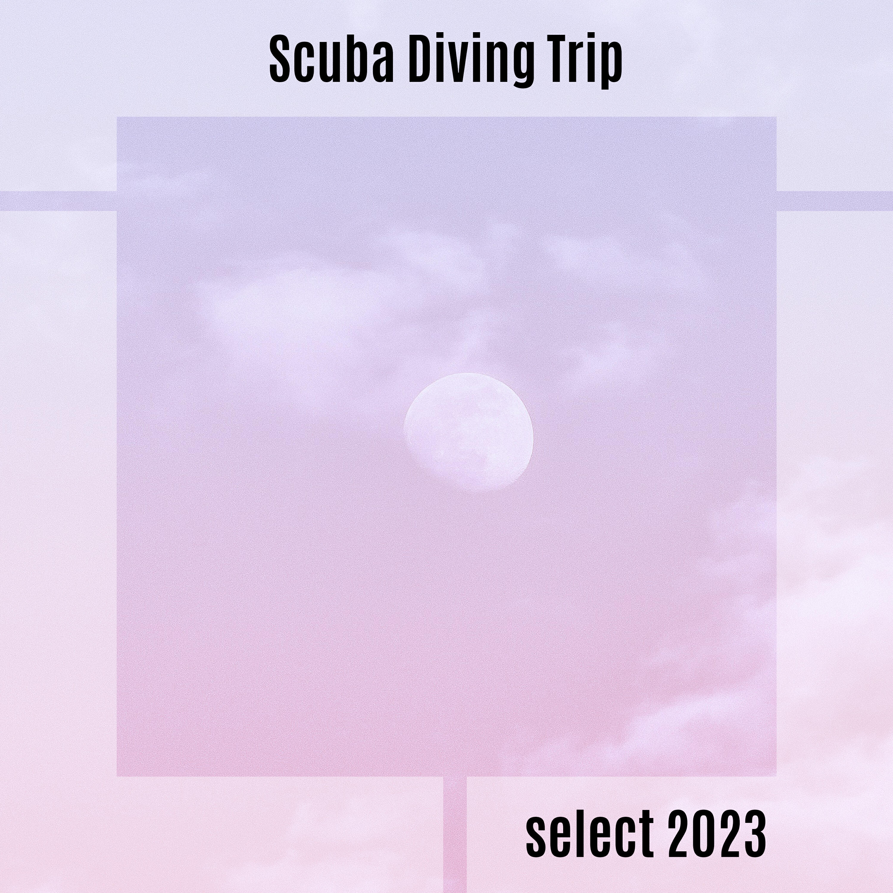 Релиз Scuba Diving Trip Select 2023