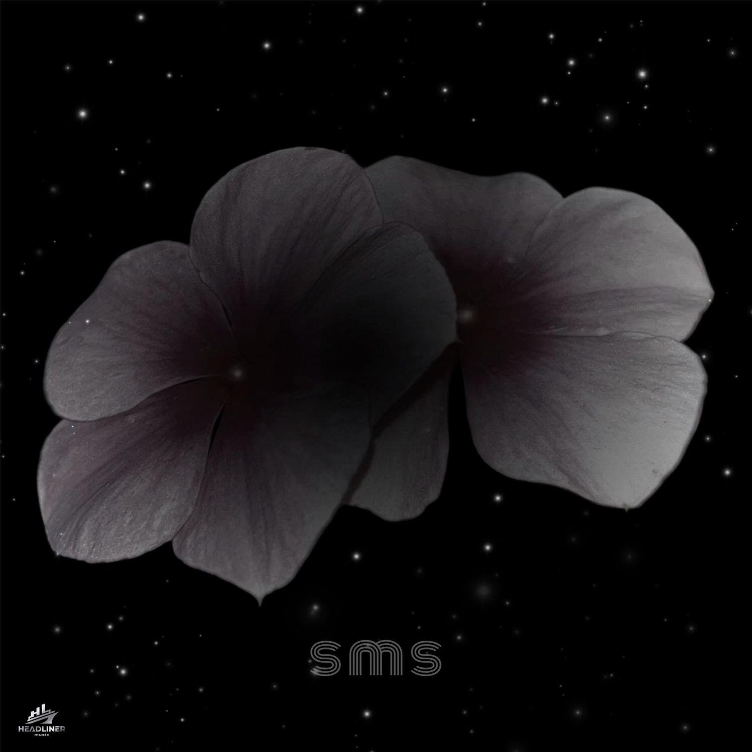 Релиз sms