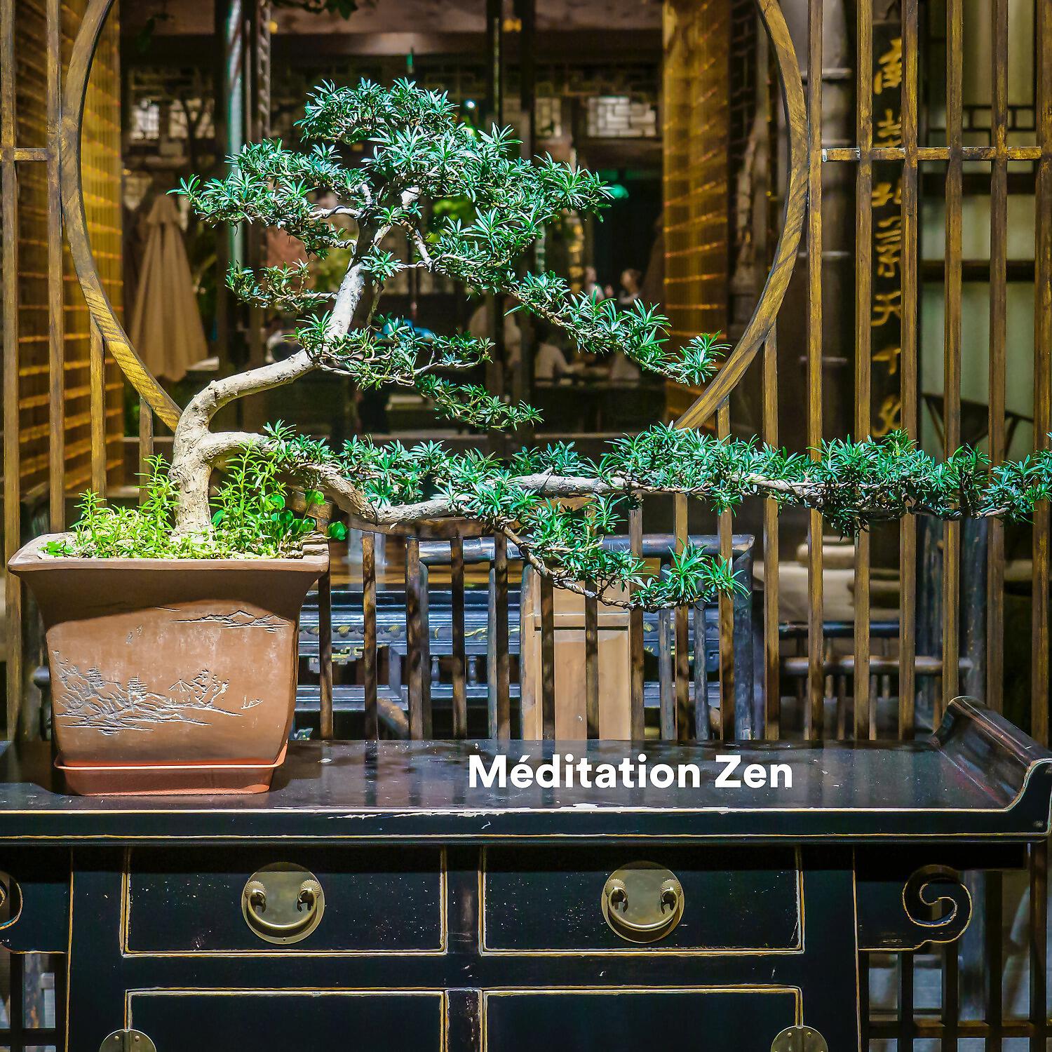 Zen méditation tibétaine