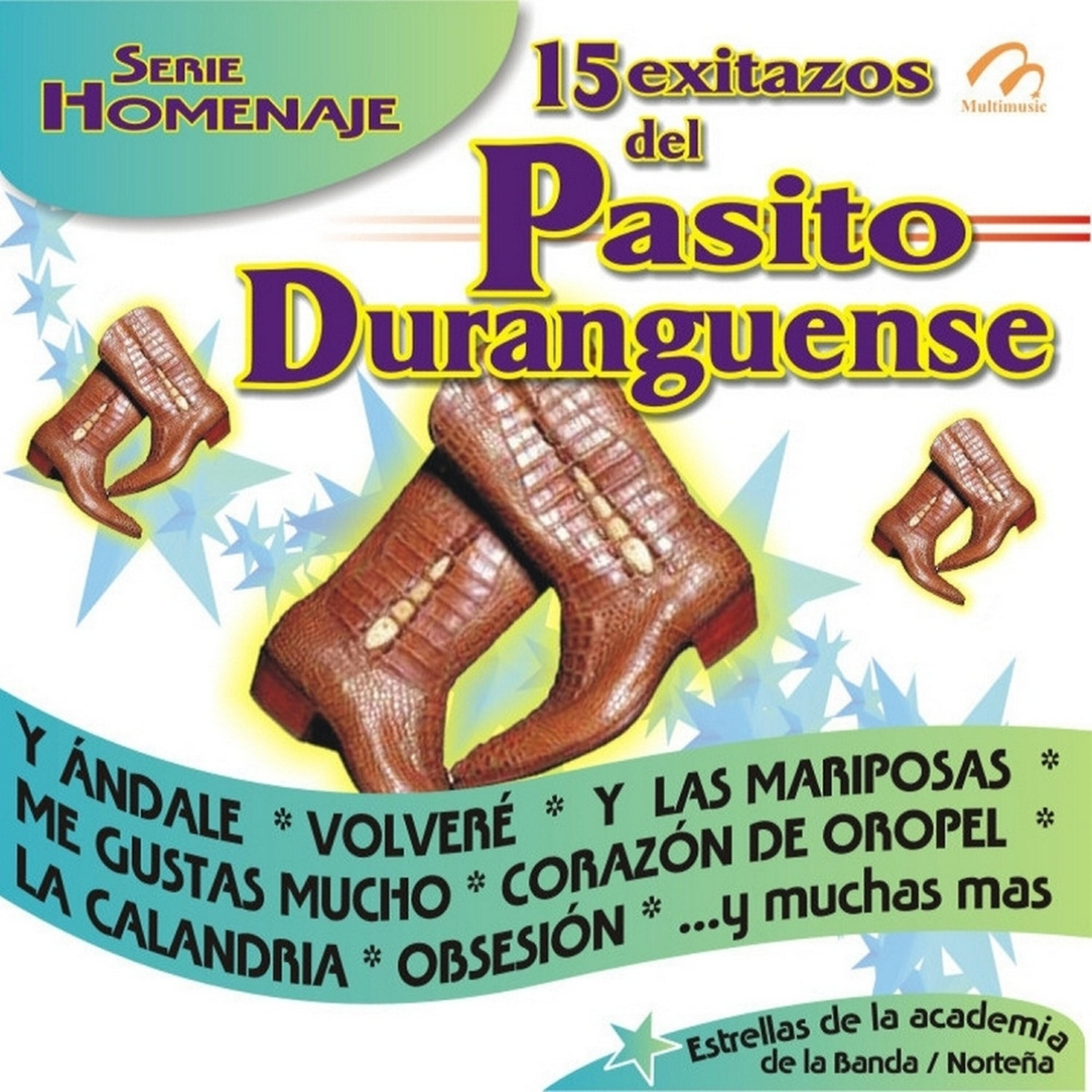 Релиз 15 Exitazos Del Pasito Duranguense