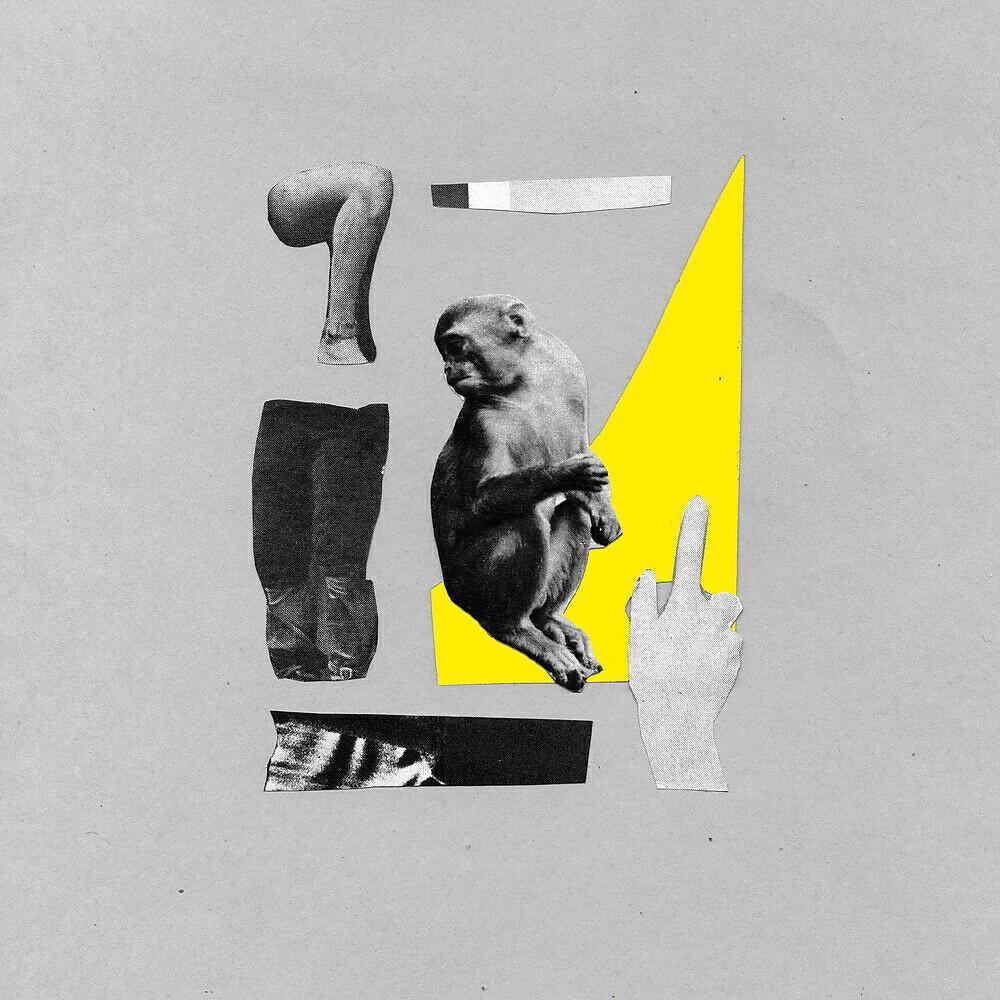 Trip Tease