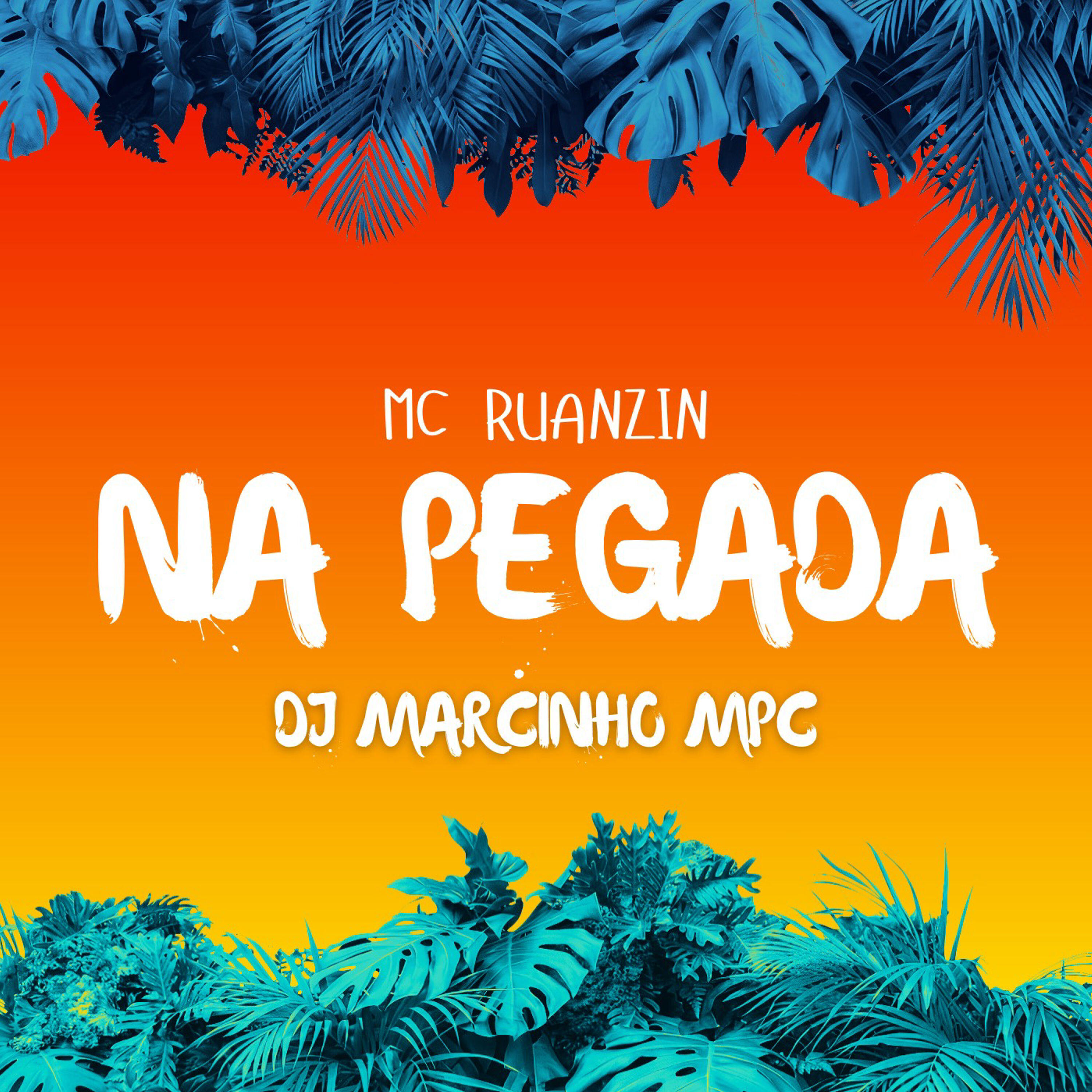 Релиз Na Pegada
