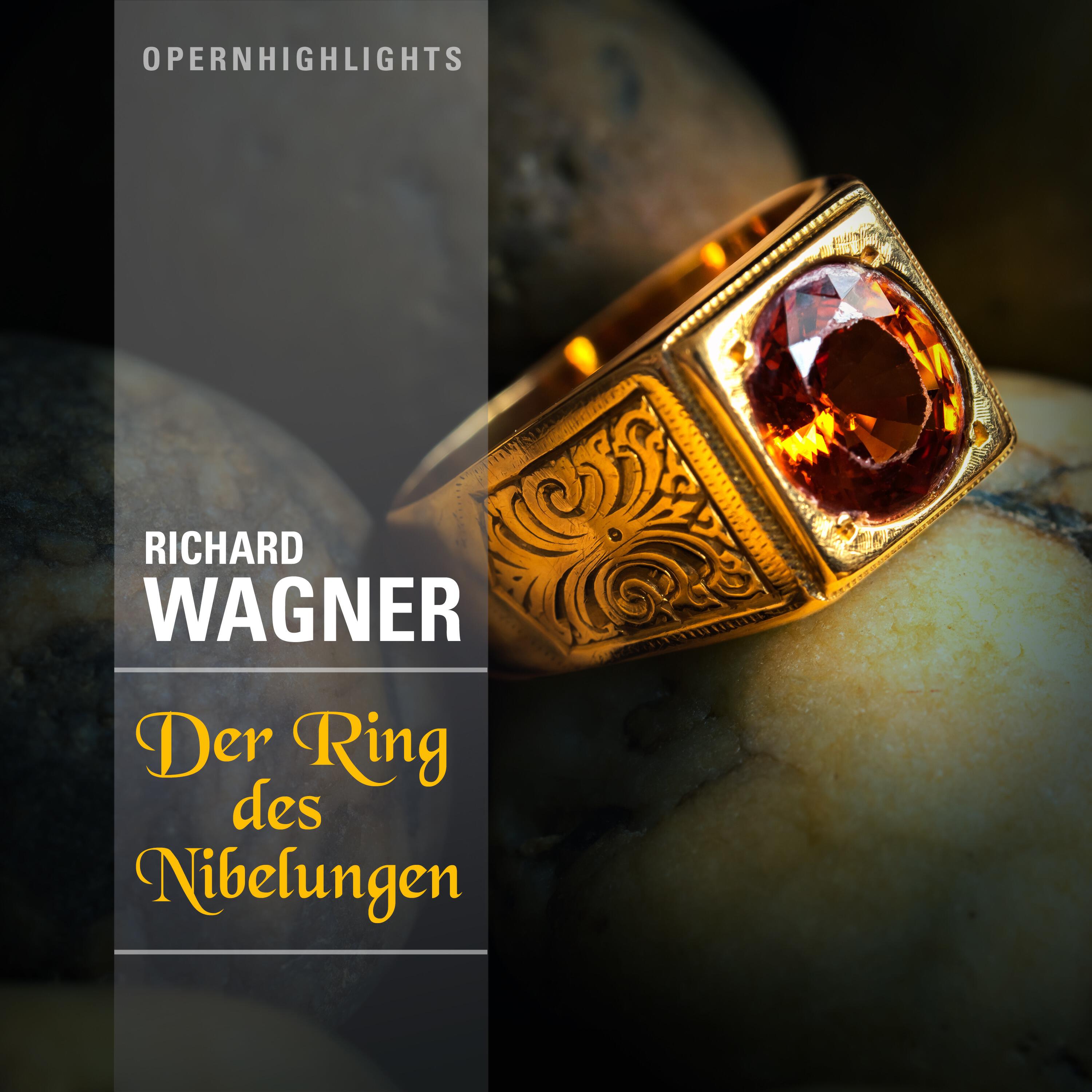 Релиз Opernhighlights - Der Ring des Nibelungen