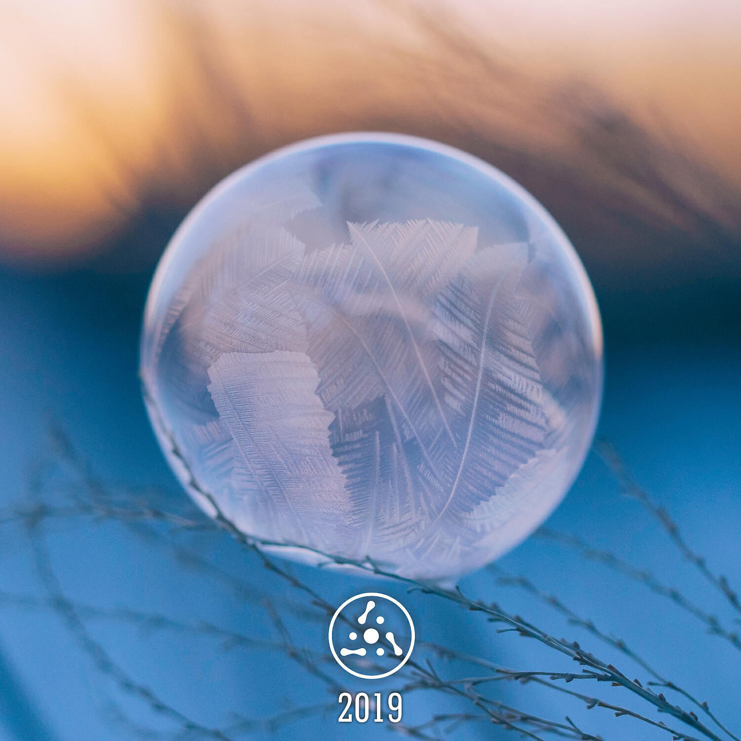 Постер альбома 2019