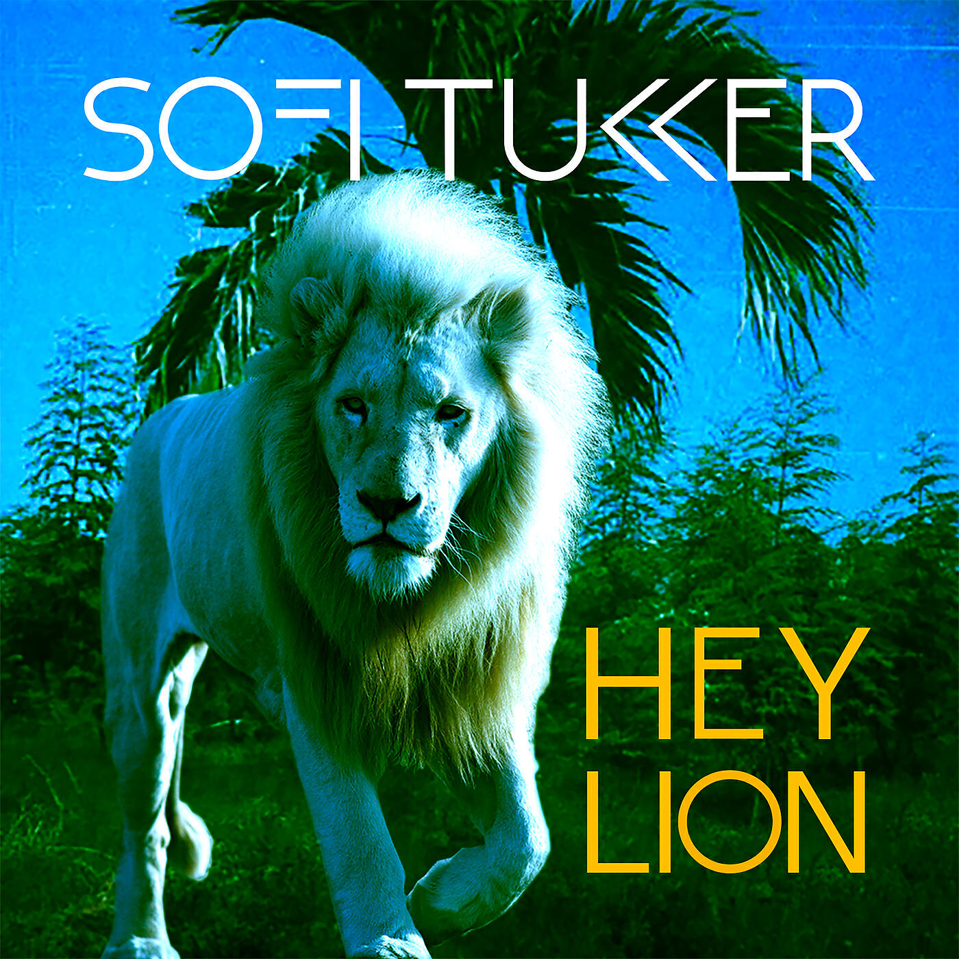 Релиз Hey Lion