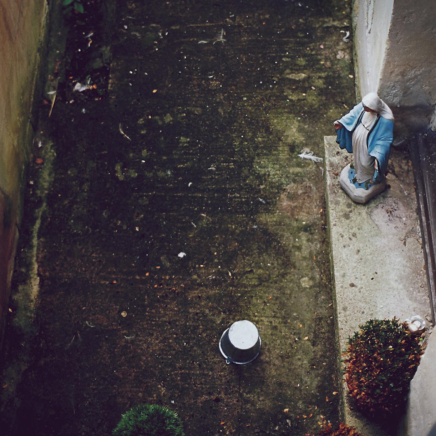 Релиз Harm Starts Here