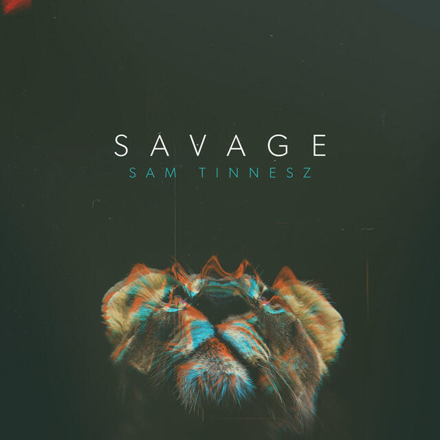 Релиз Savage
