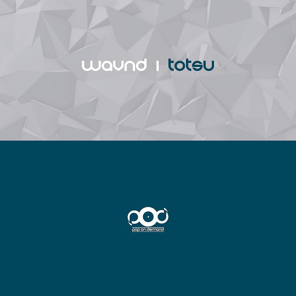 Релиз Totsu