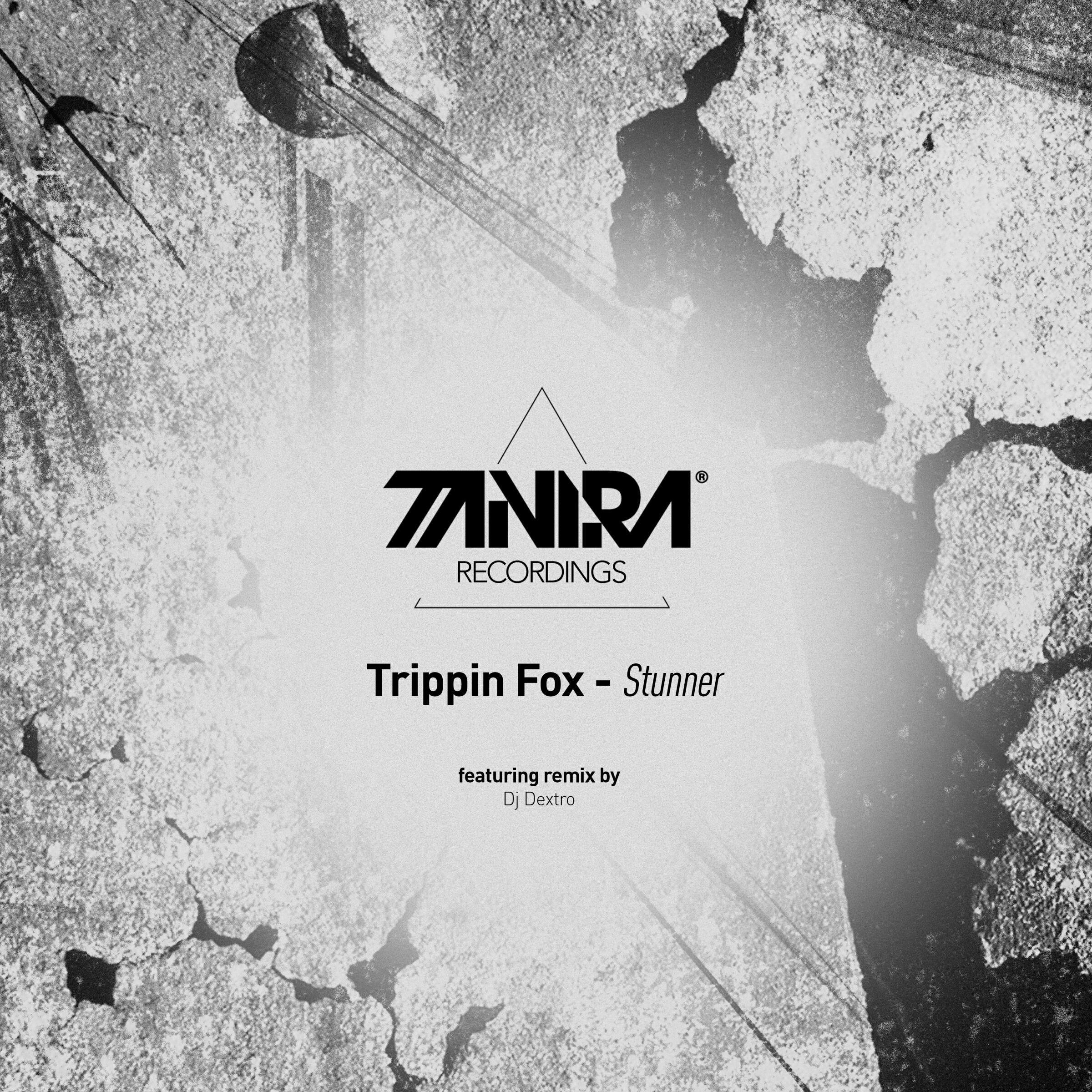 Релиз Stunner EP