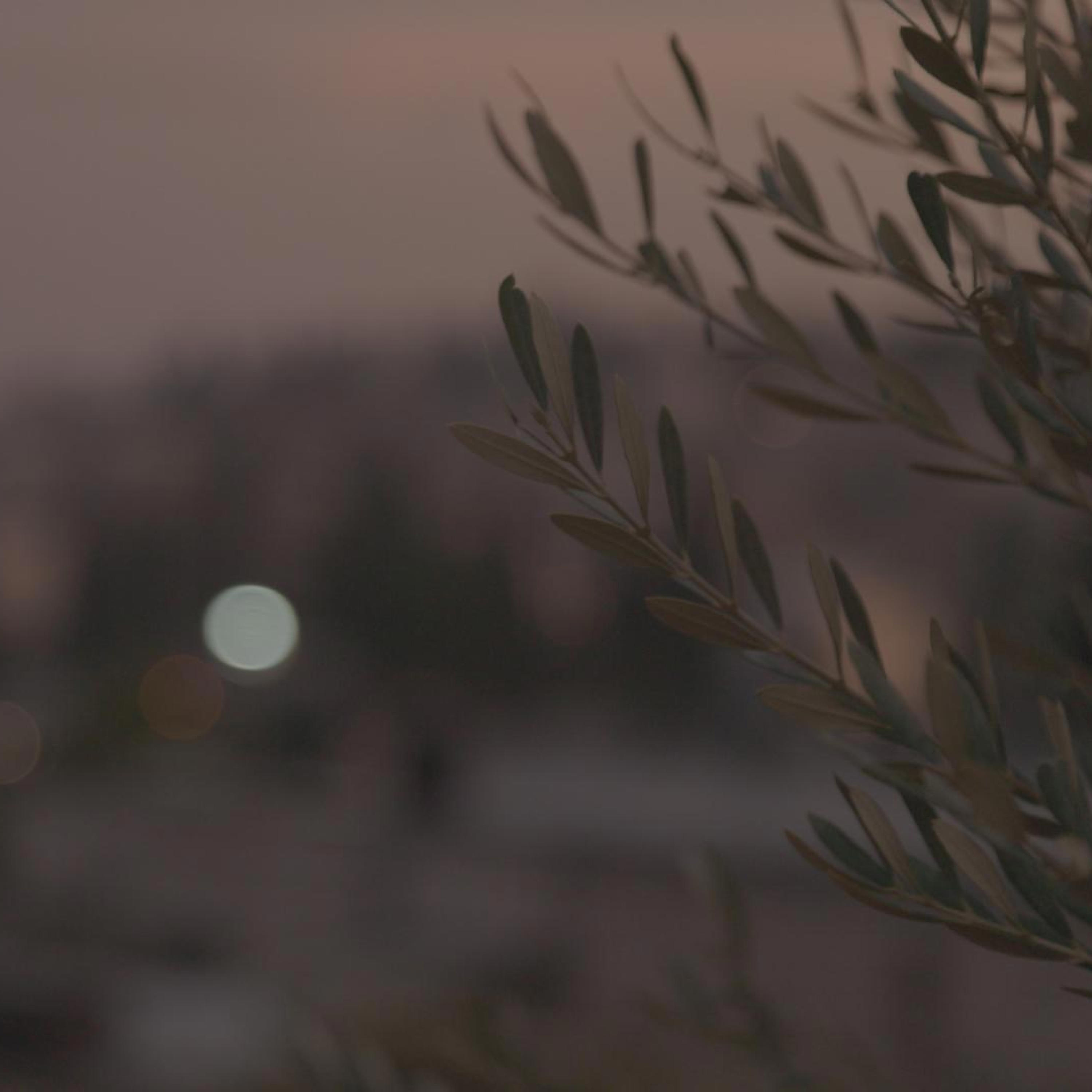Релиз Come Yeshua