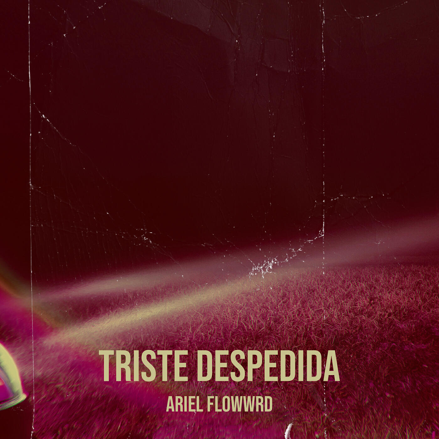 Релиз Triste Despedida