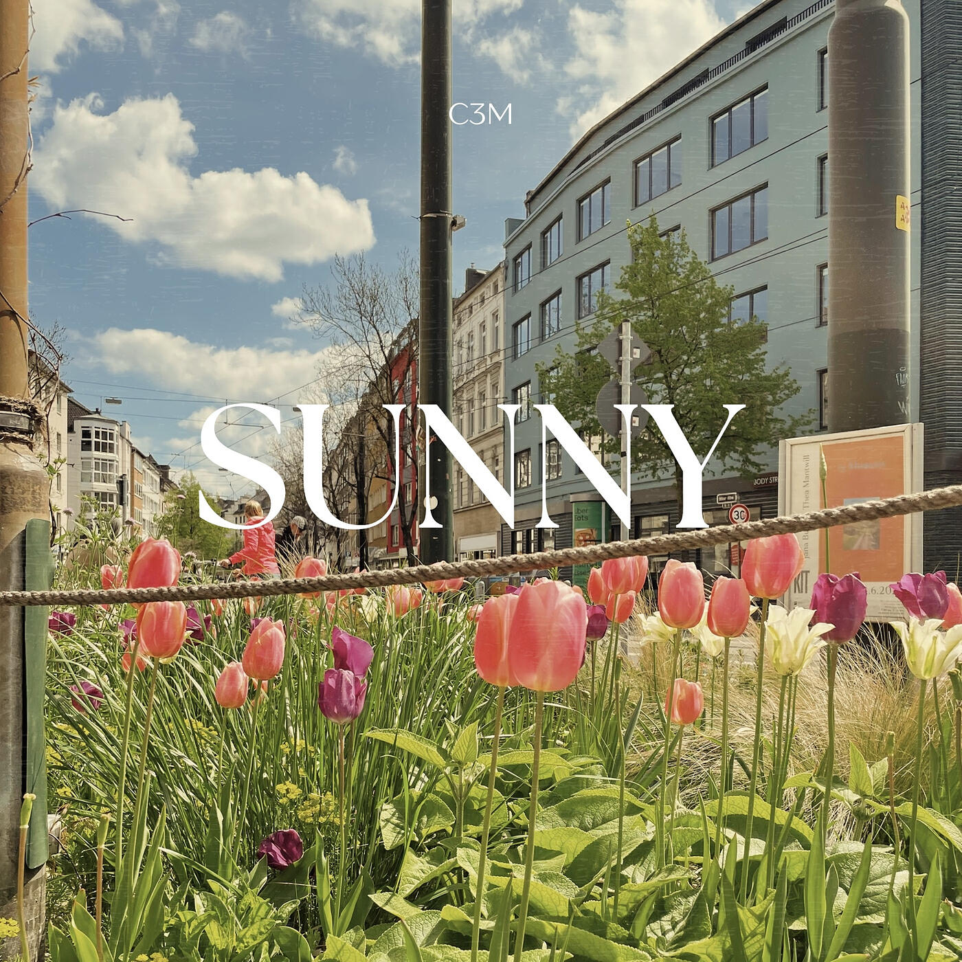 Релиз Sunny