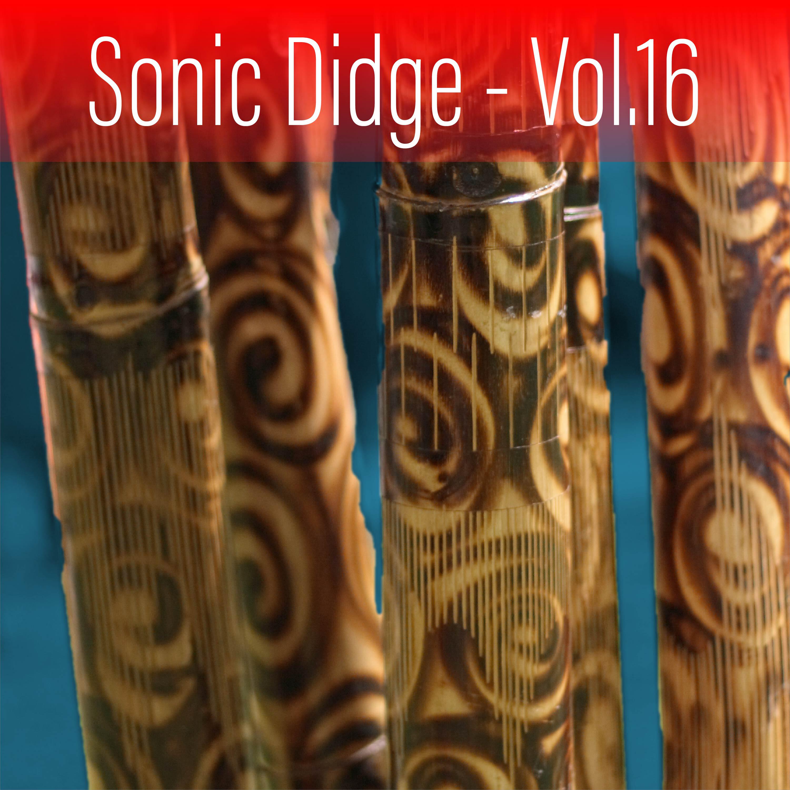 Релиз Sonic Didge, Vol. 16