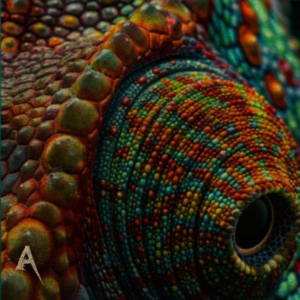 Релиз Chameleon