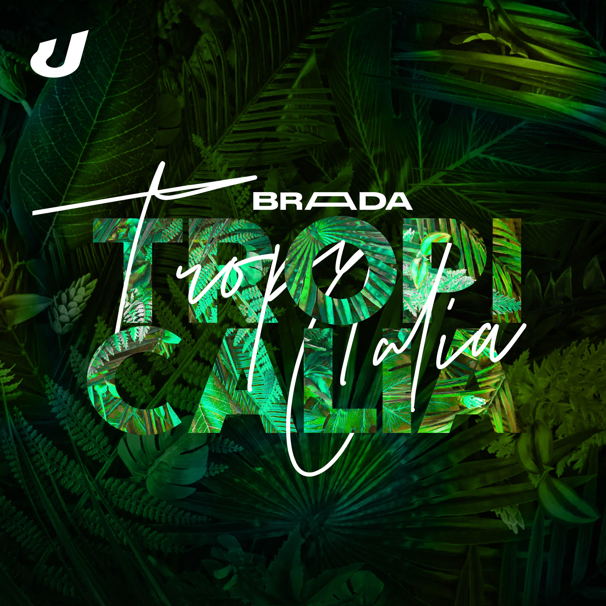 Релиз Tropicalia