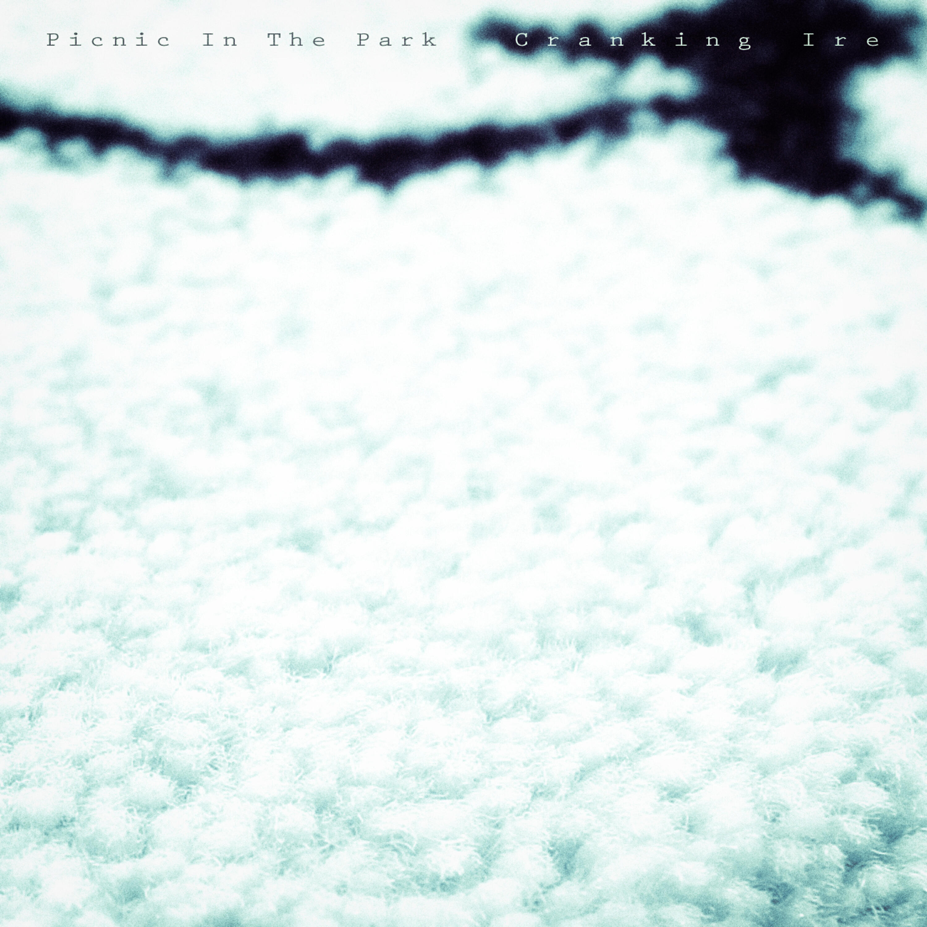 Релиз Picnic in the Park