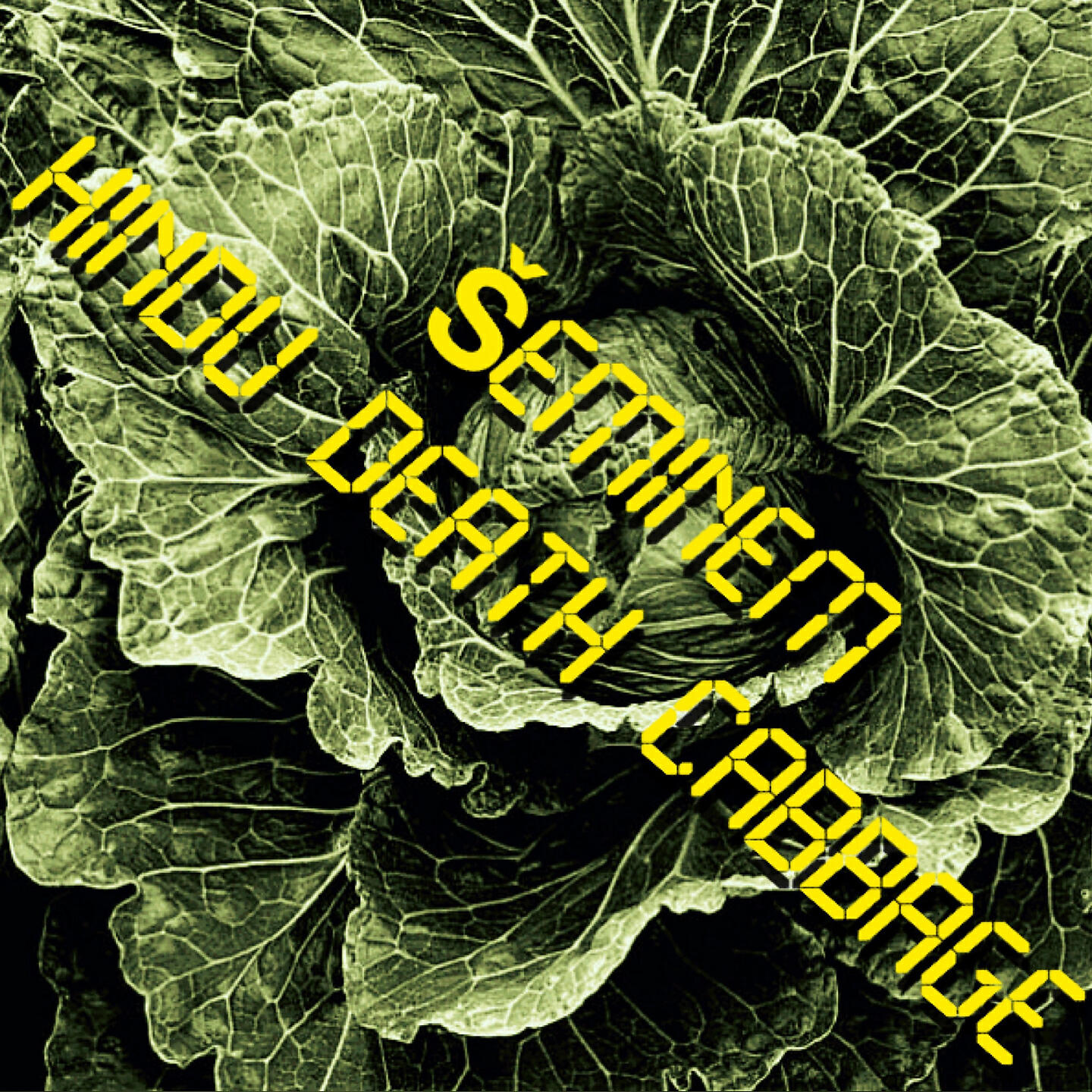 Релиз Hindu Death Cabbage