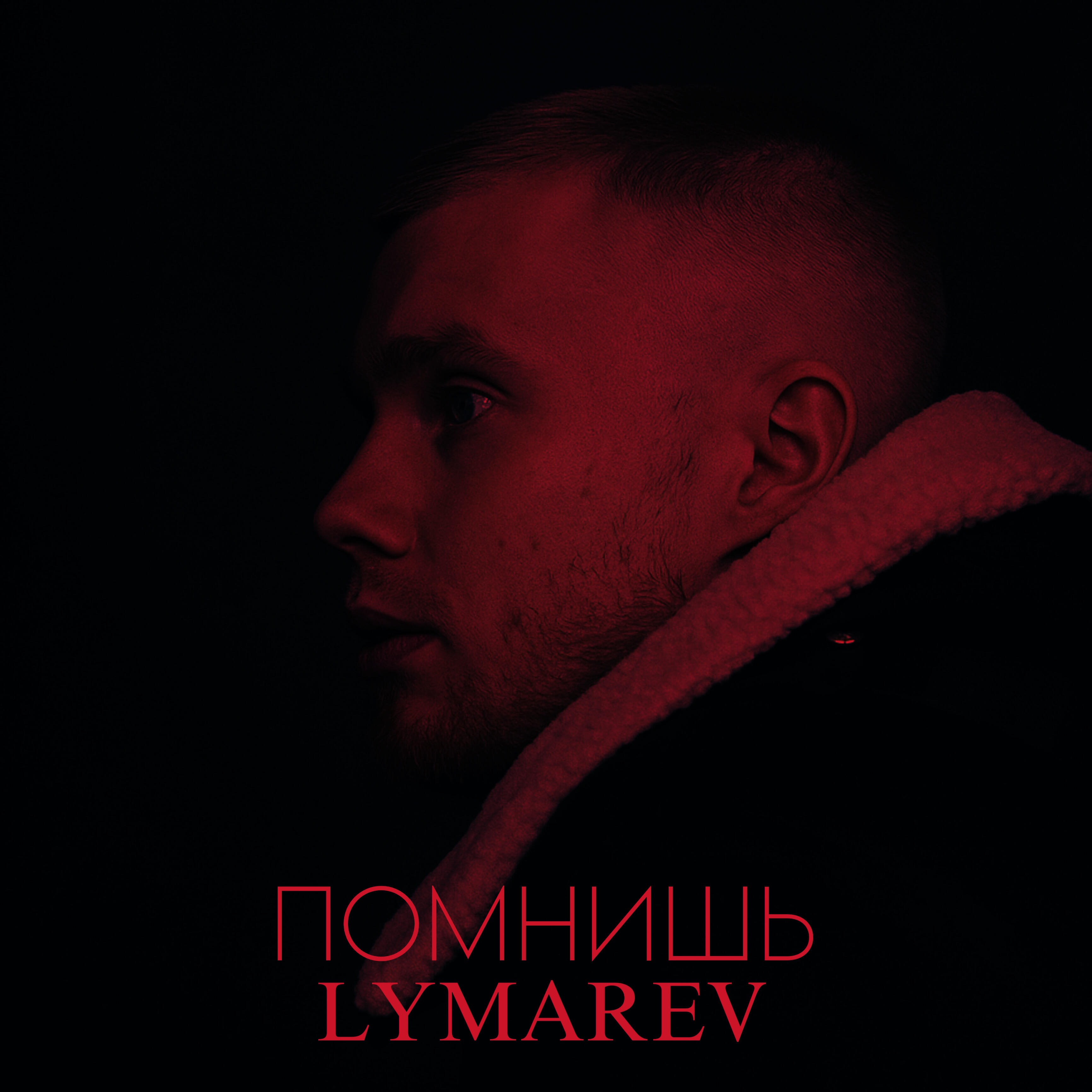 Релиз Помнишь