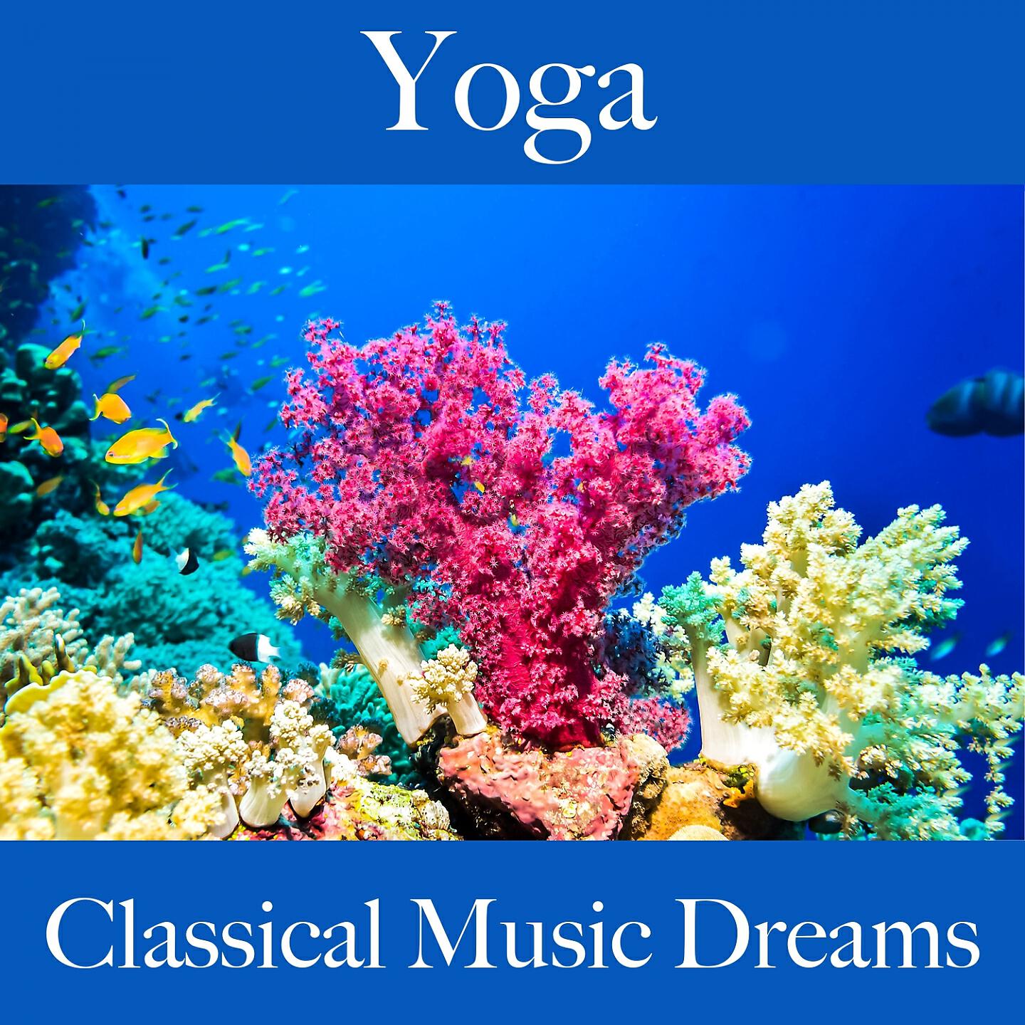 Релиз Yoga: Classical Music Dreams - The Best Music For Relaxation
