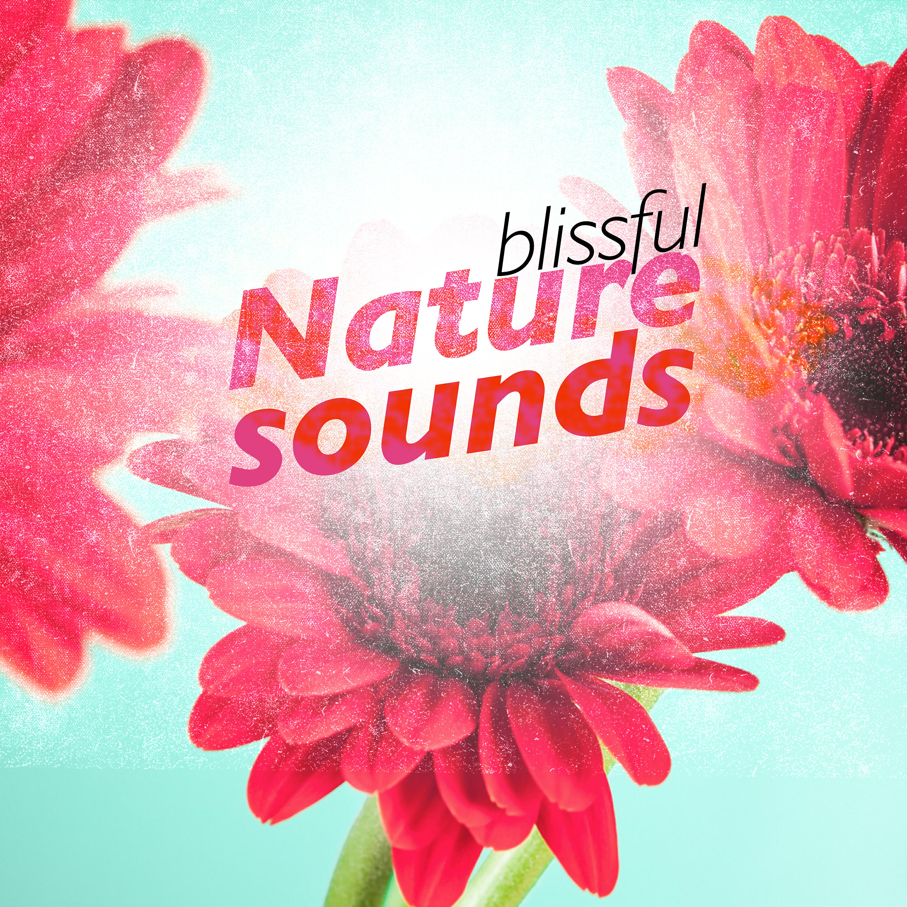 Постер альбома Blissful Nature Sounds