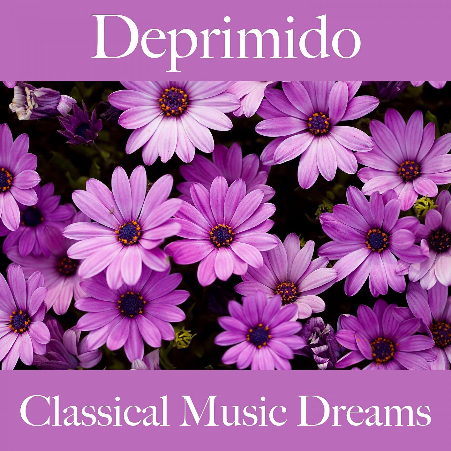 Релиз Deprimido: Classical Music Dreams - La Mejor Música Para Sentirse Mejor