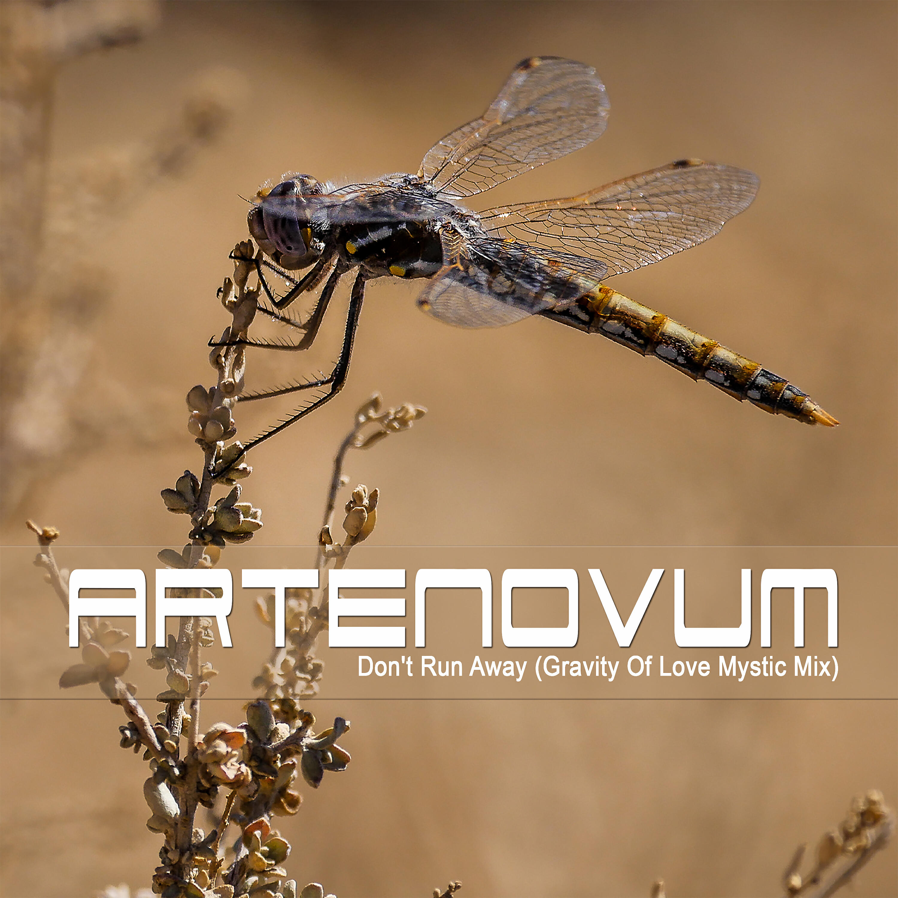 Релиз Don't Run Away (Gravity of Love Mystic Mix)