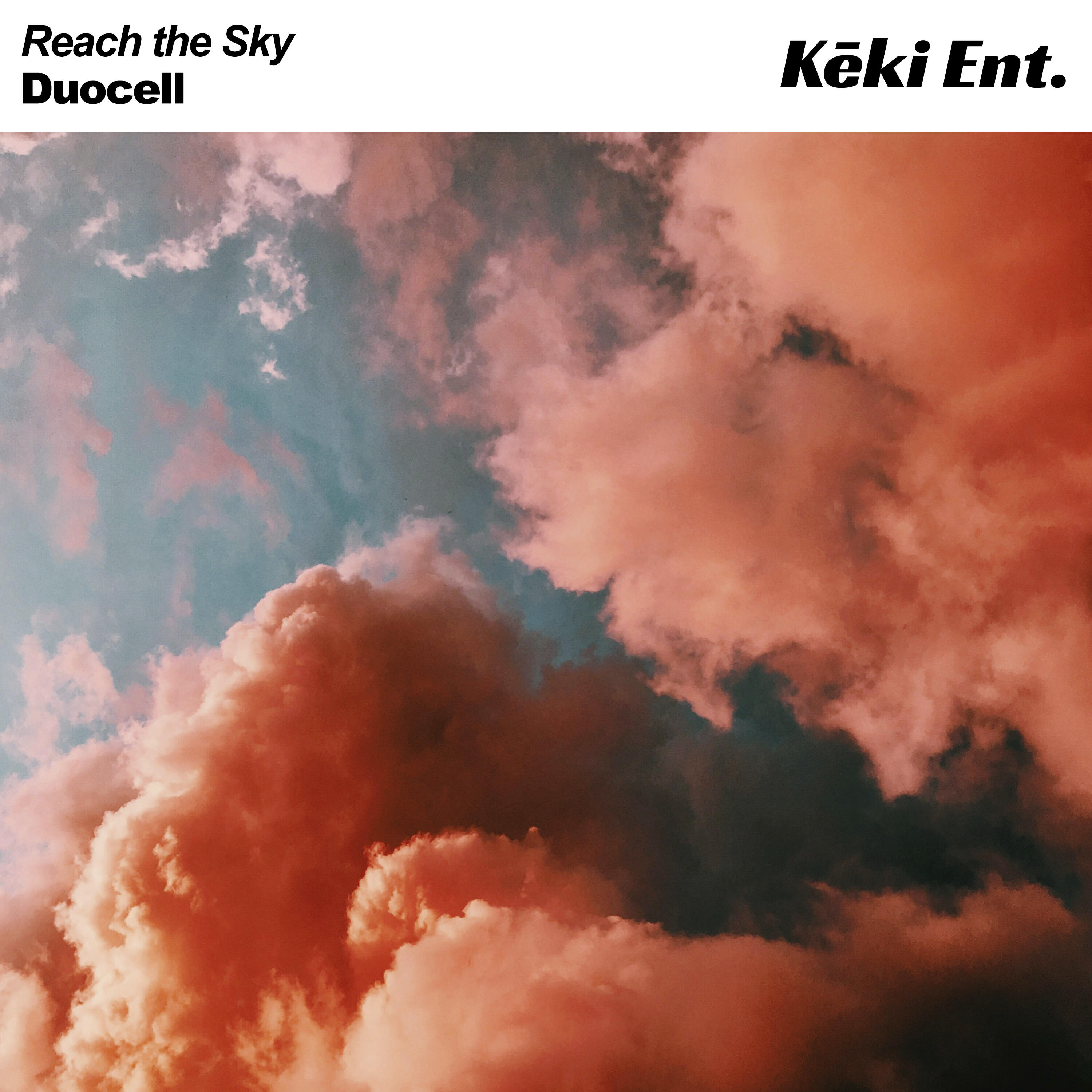 Релиз Reach the Sky