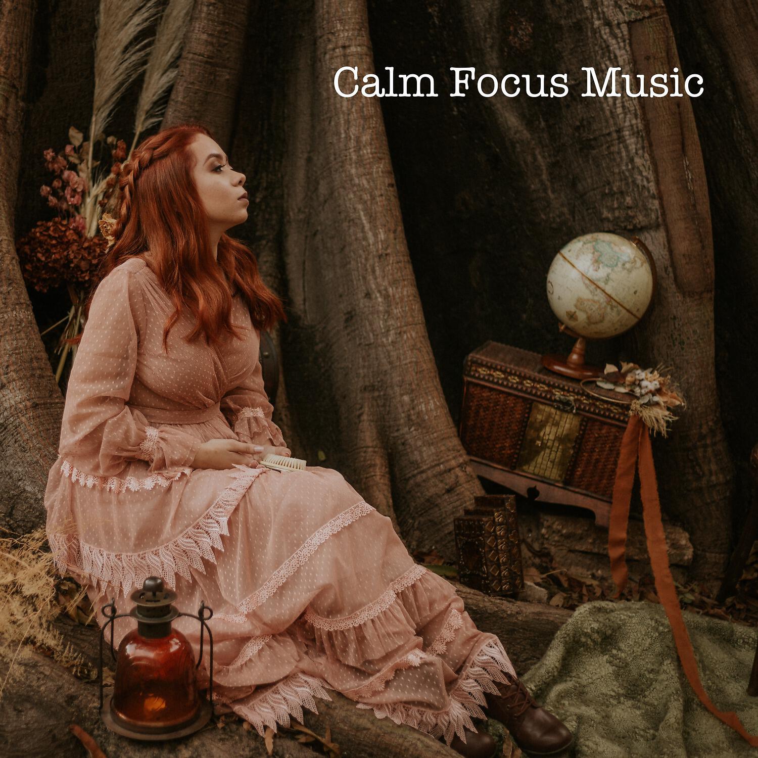 Релиз Calm Focus Music