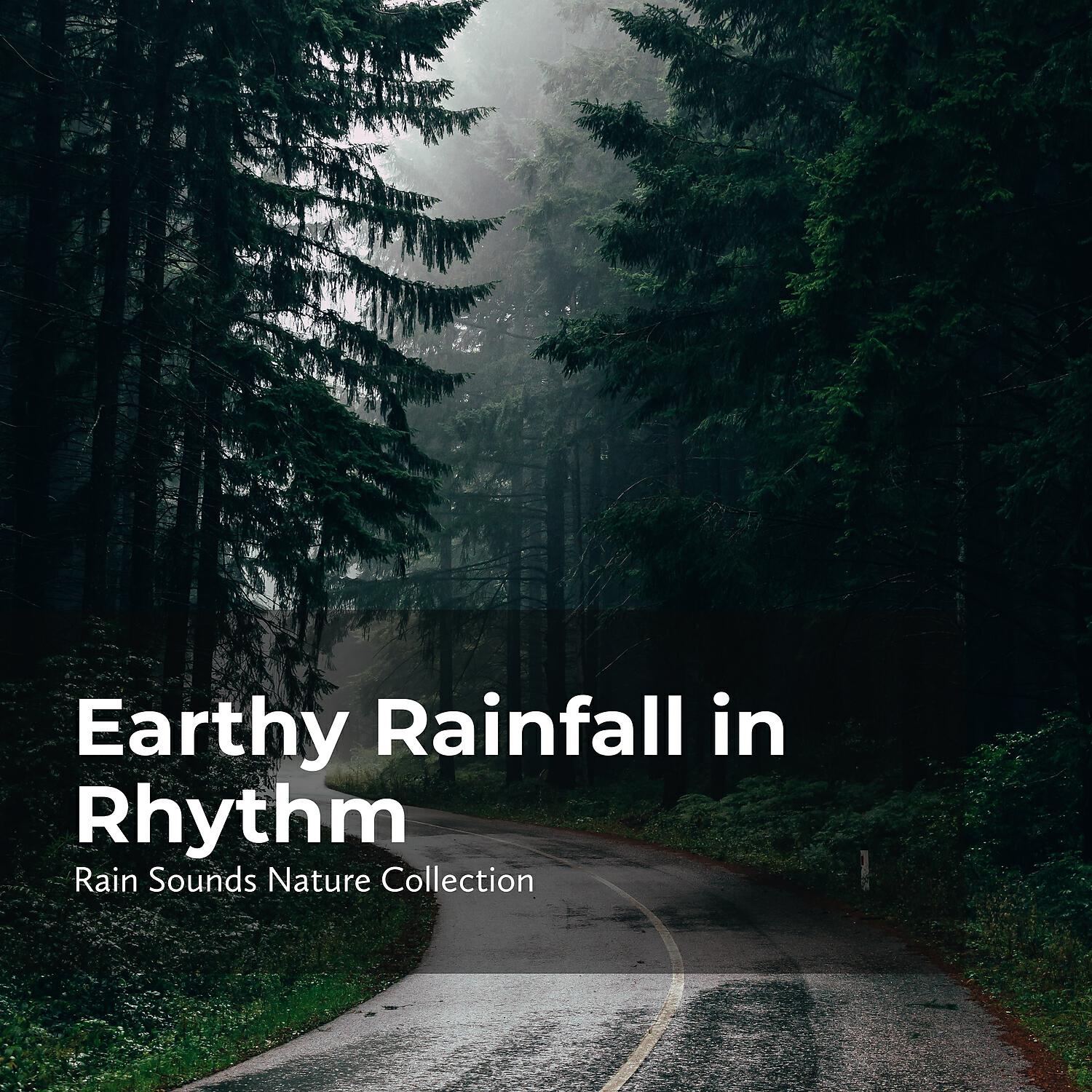 Релиз Earthy Rainfall in Rhythm