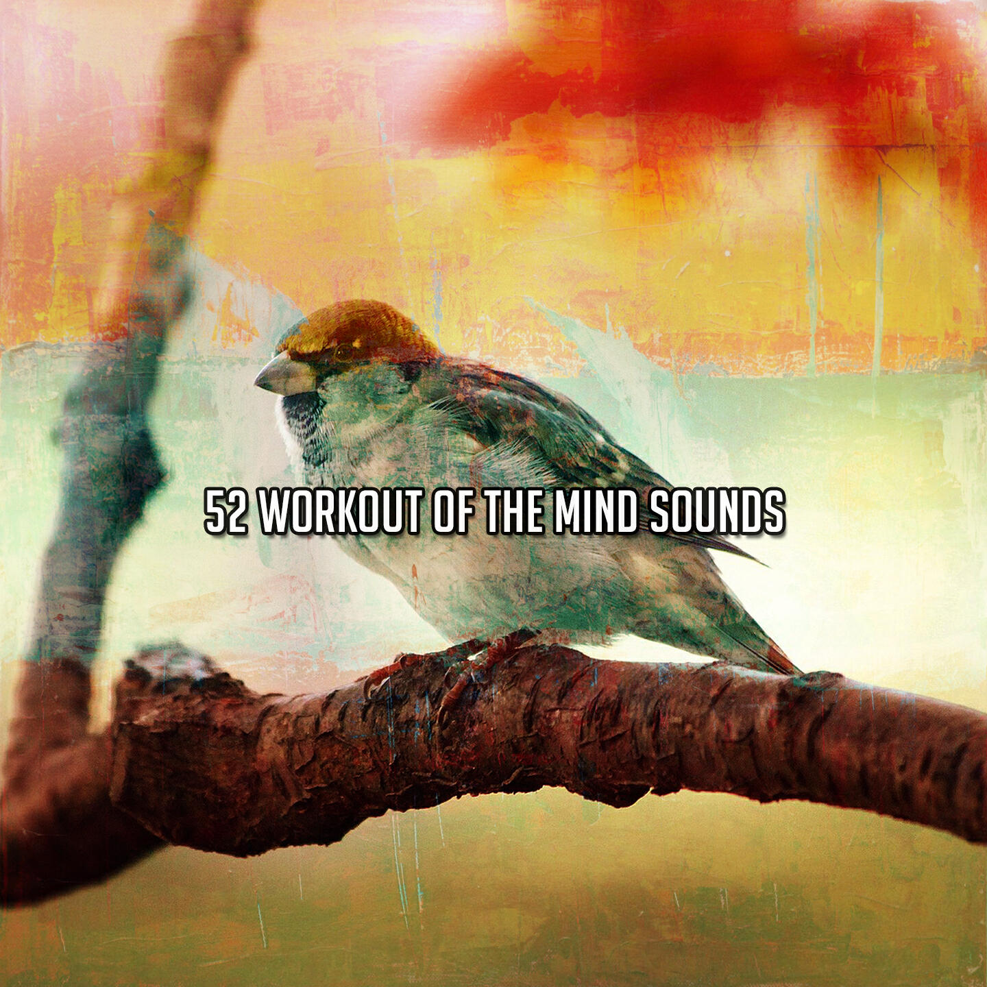 Релиз 52 Workout Of The Mind Sounds
